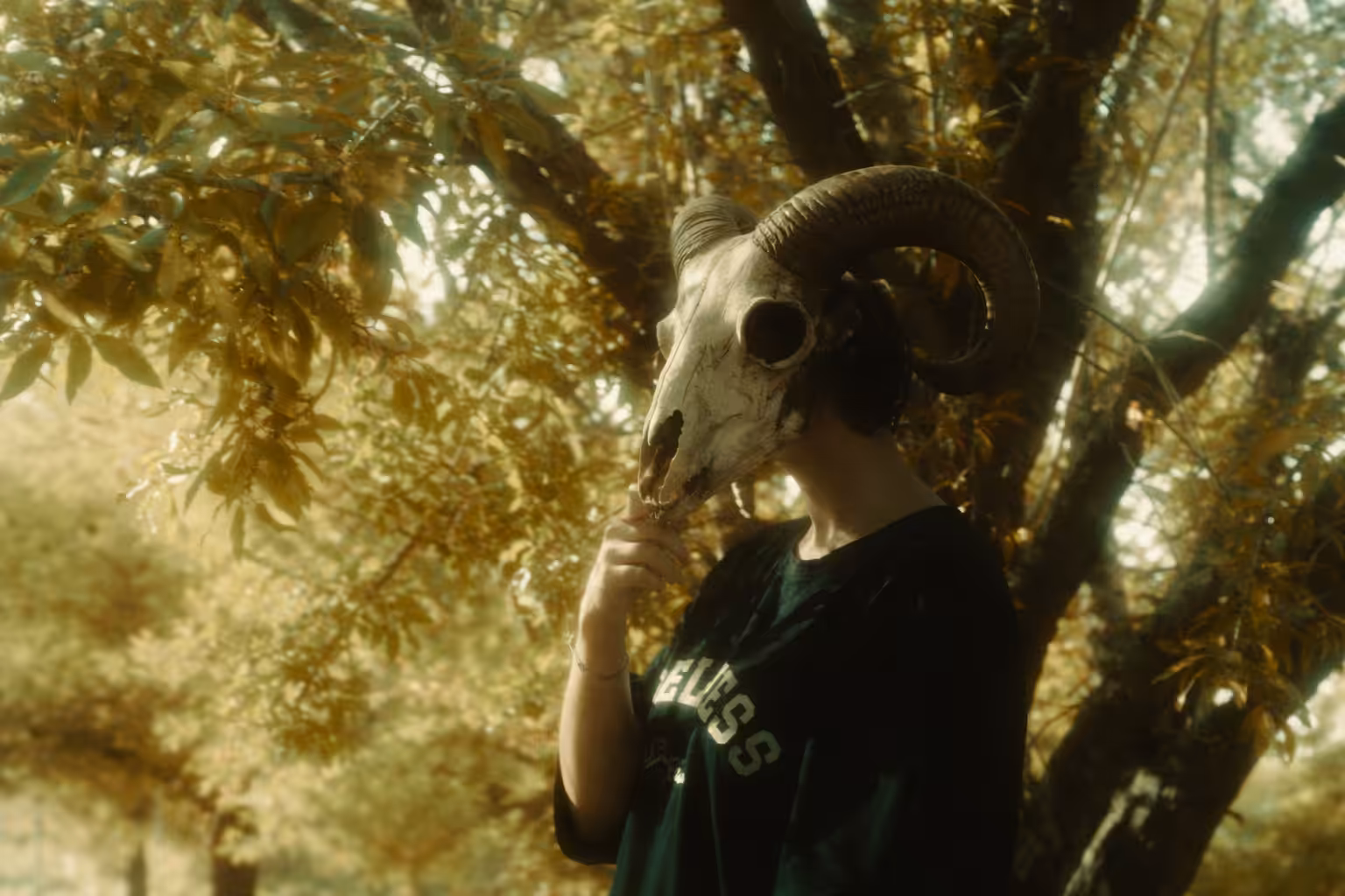 The Silence of the black sheep