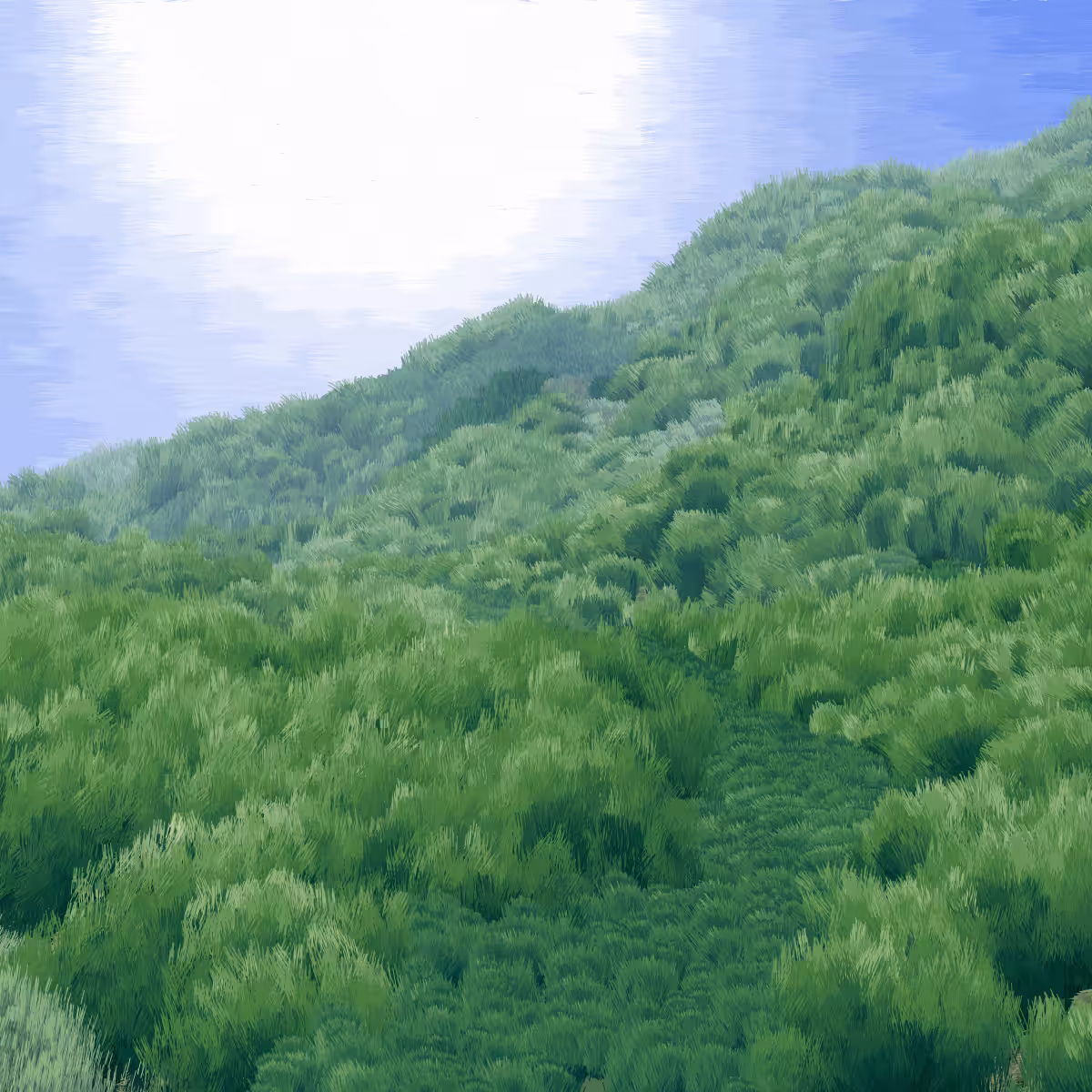 Provence #432