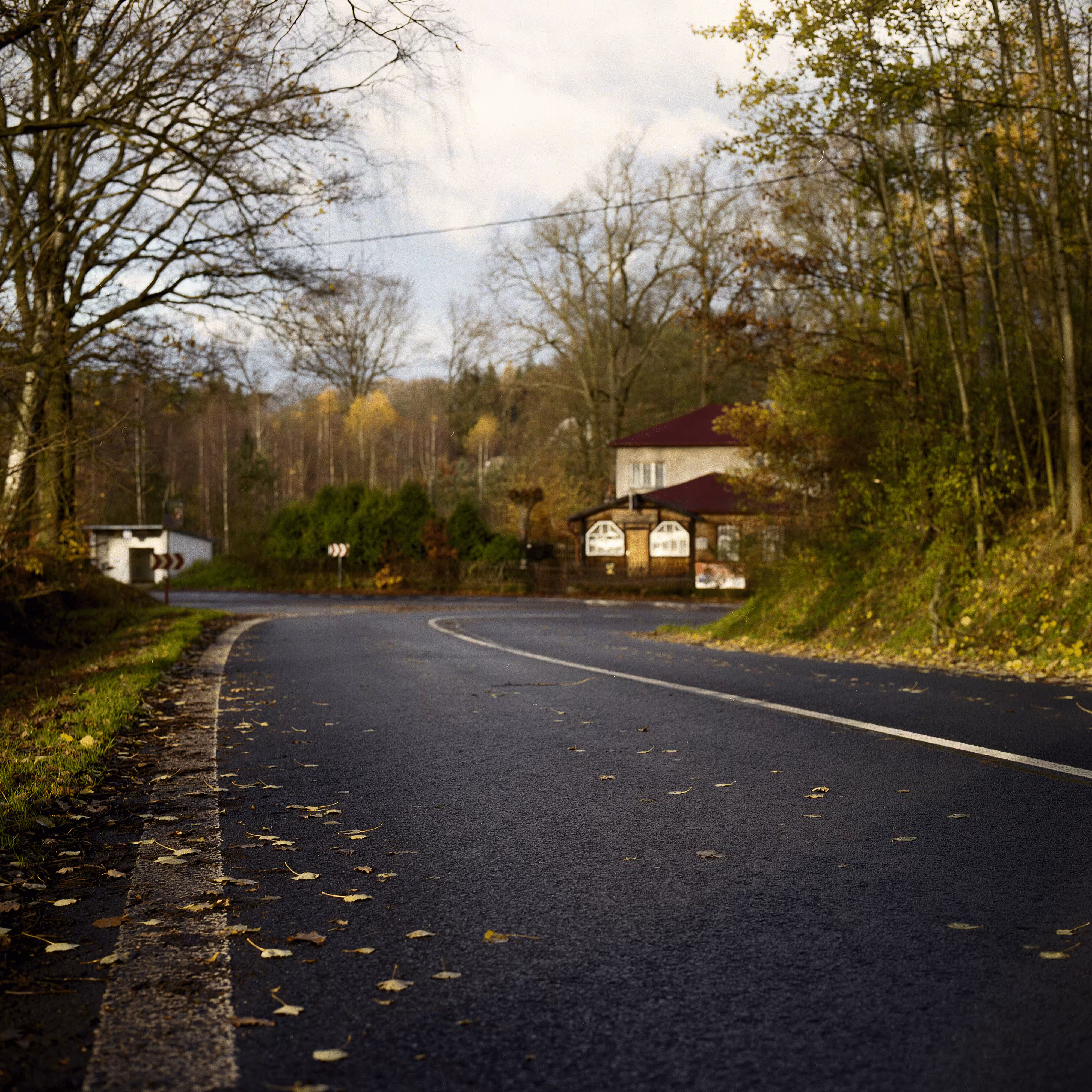 Roads Untraveled #12