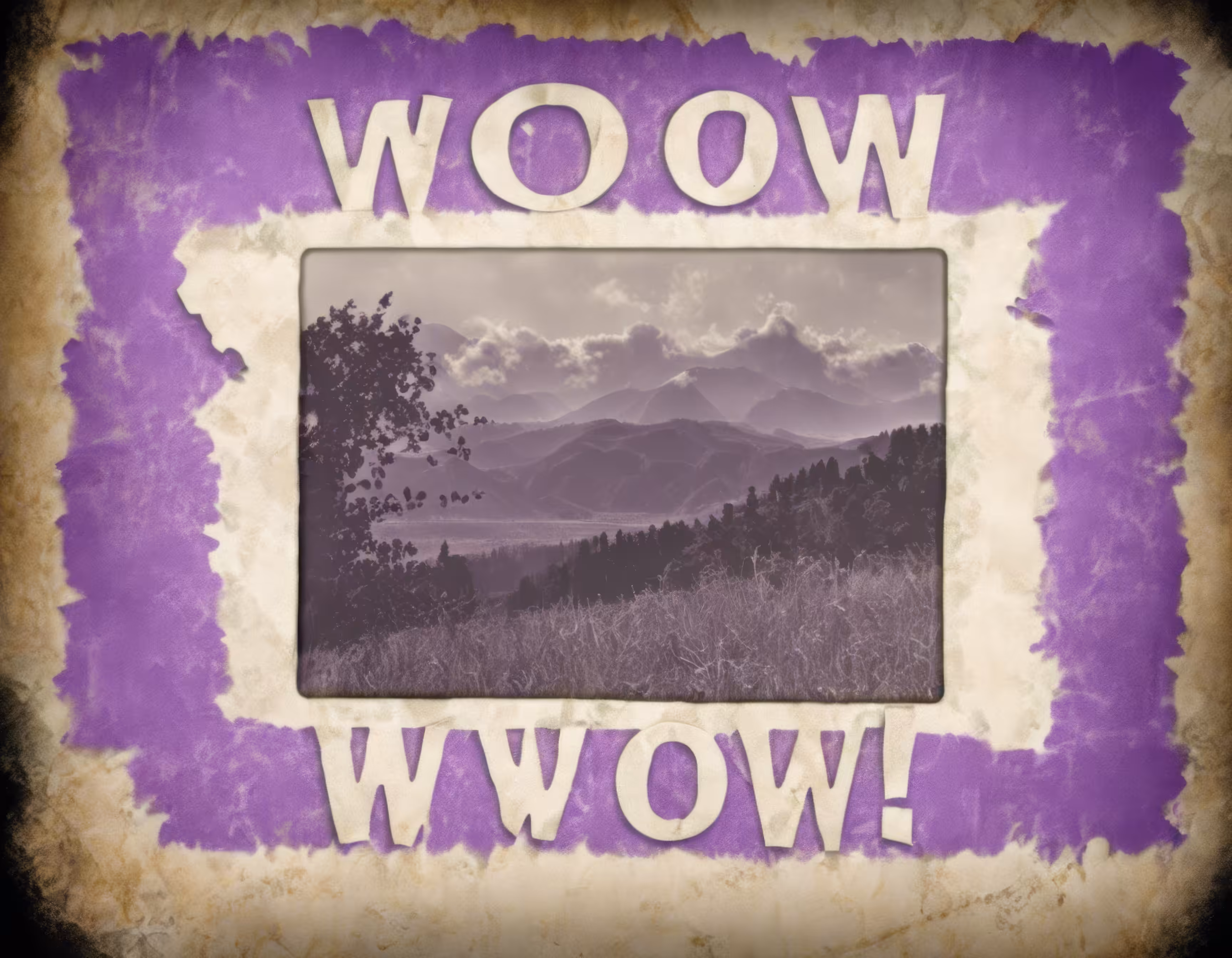 Frame 54/1000