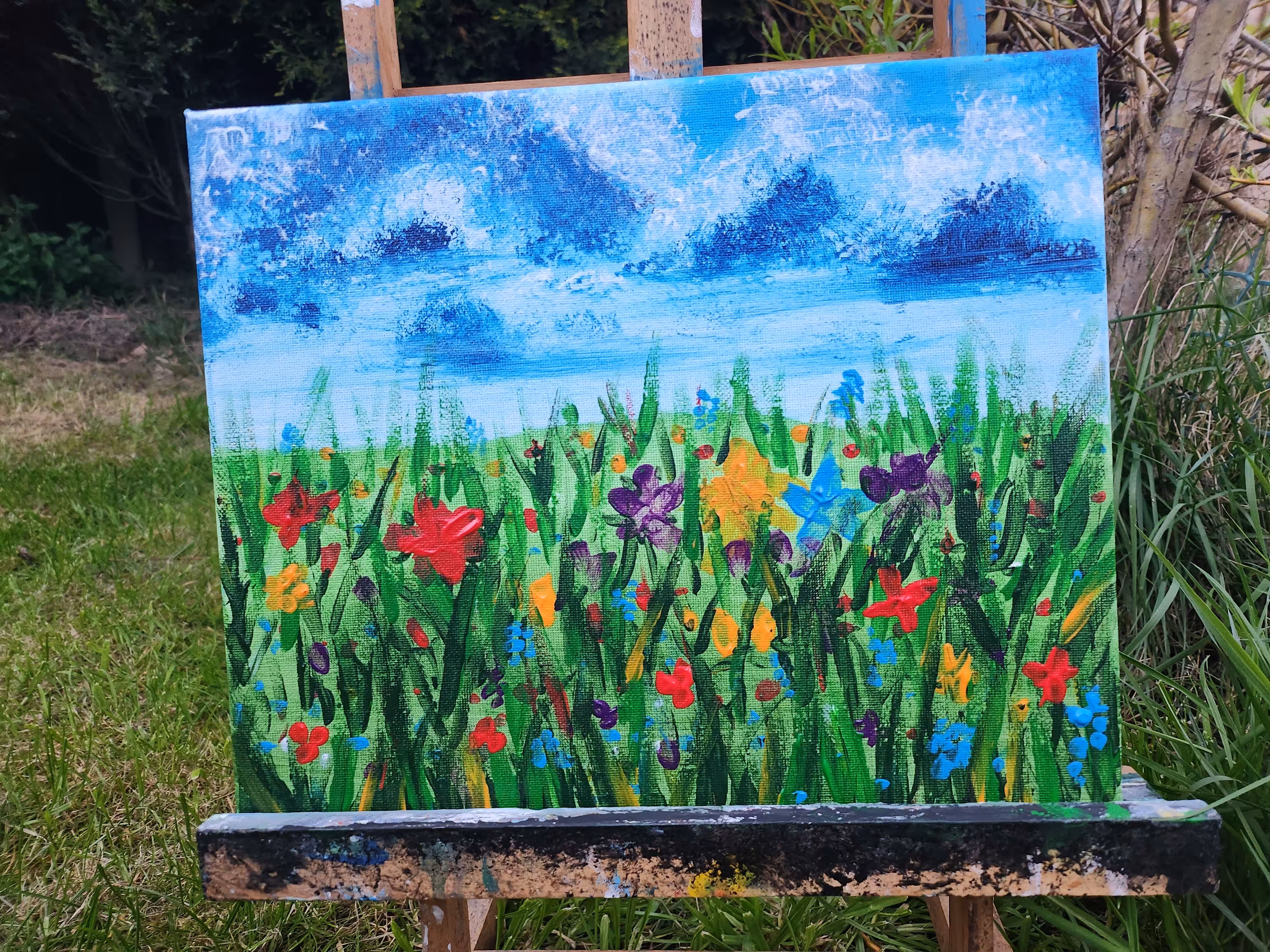 Wild Flower Meadow