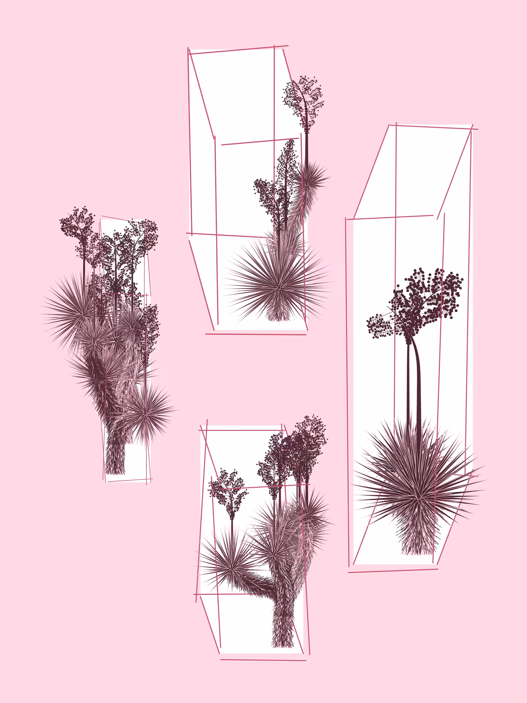 Marfa Yucca #288
