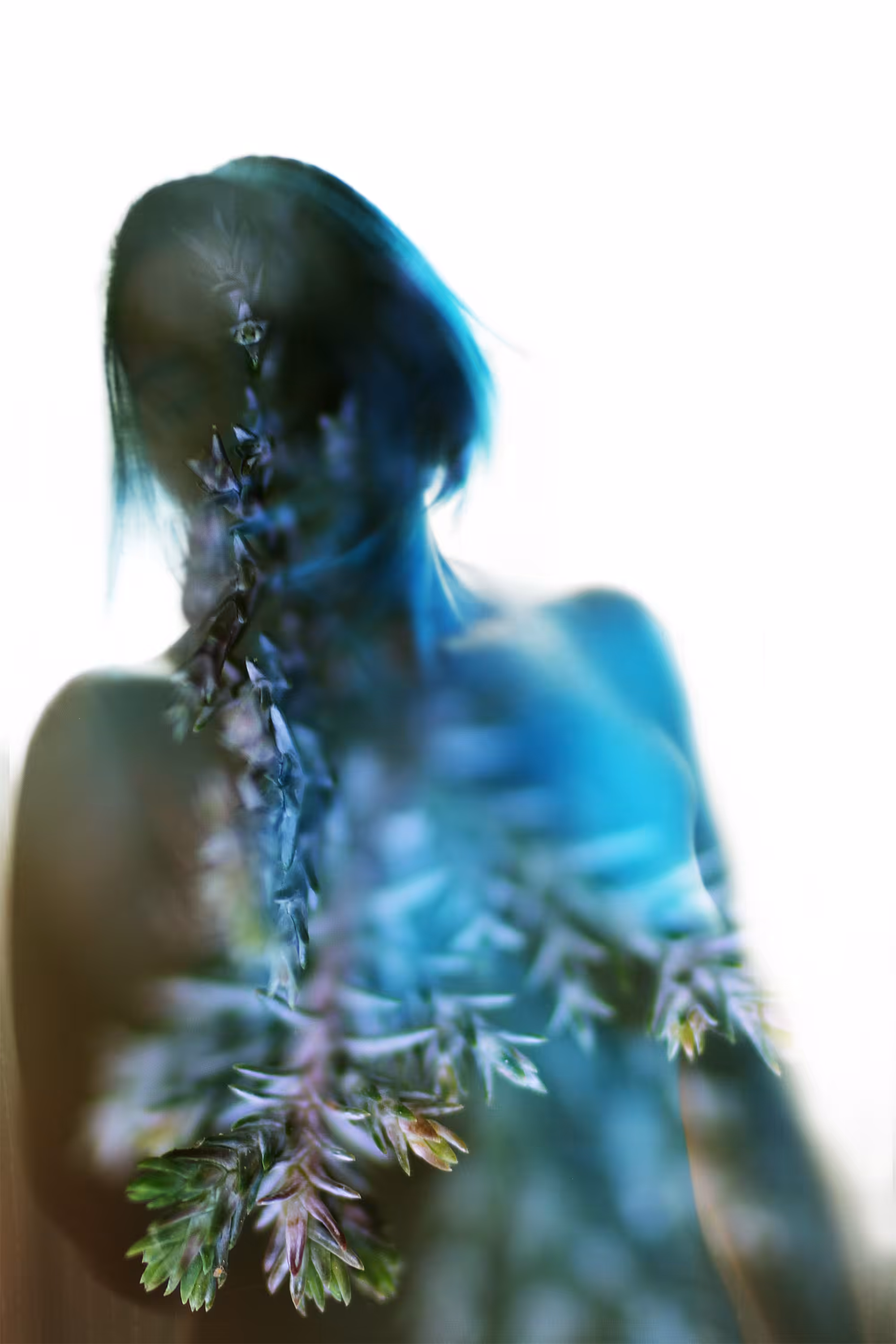 Dryad