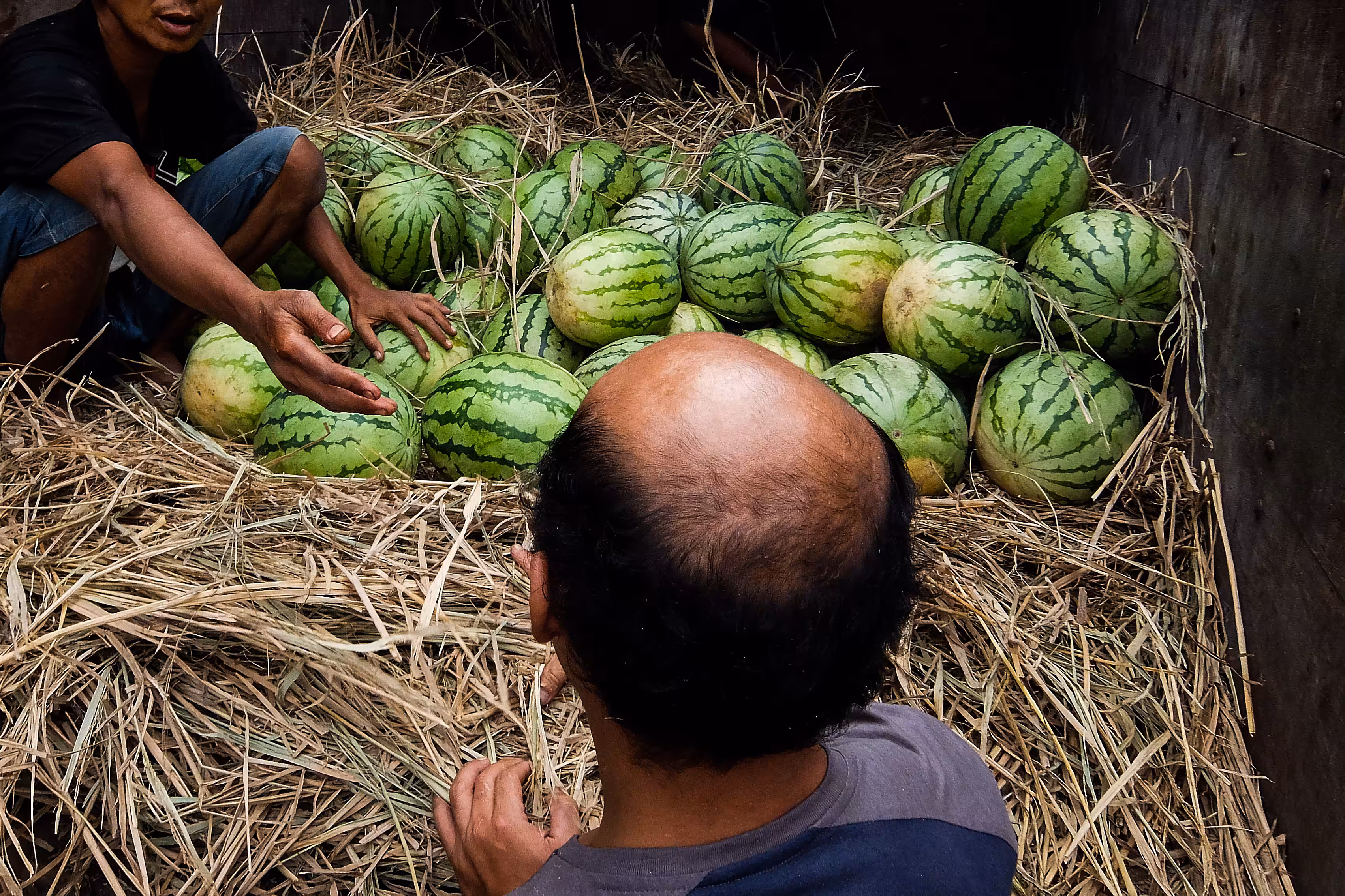 Watermelons