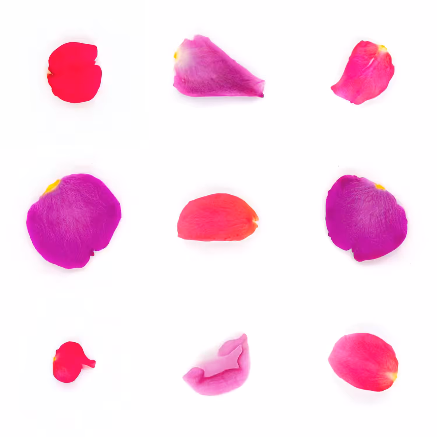 Infinite Petals 3x3#3198