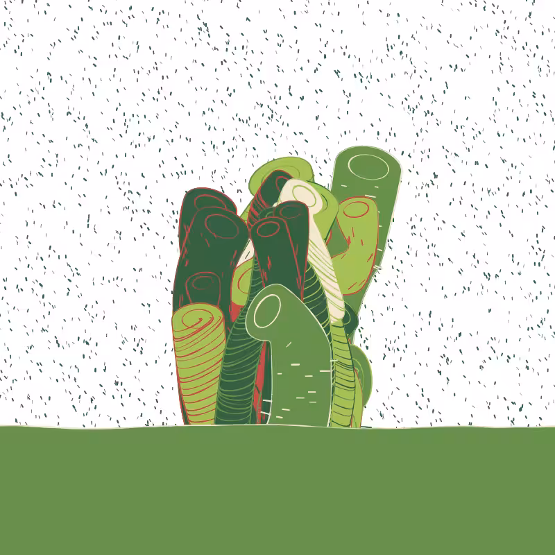 The Good Corals #66