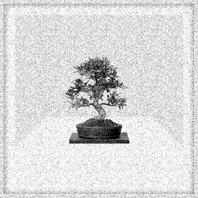 Bonsai Bonanza #576