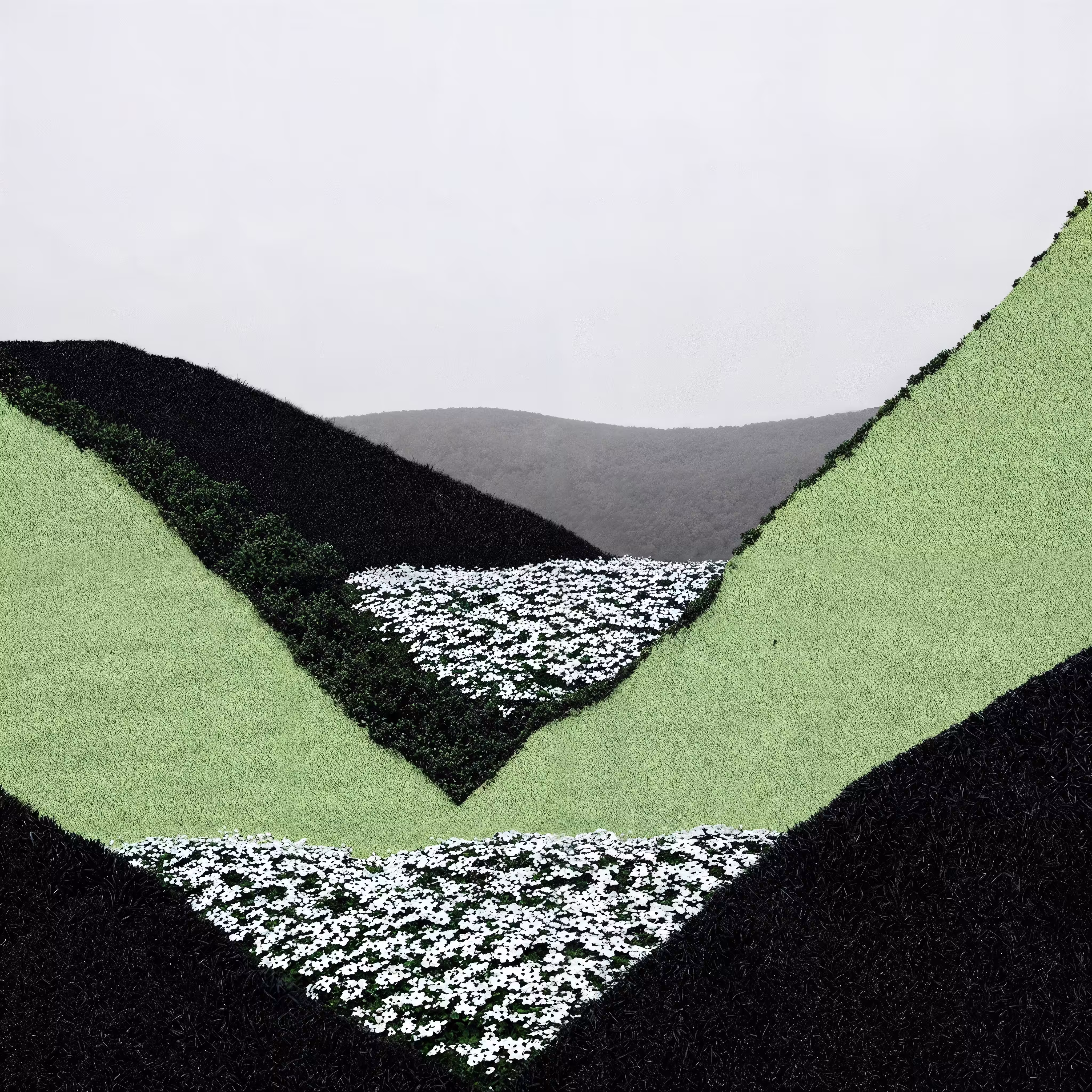 Untouchable (Grass) 10