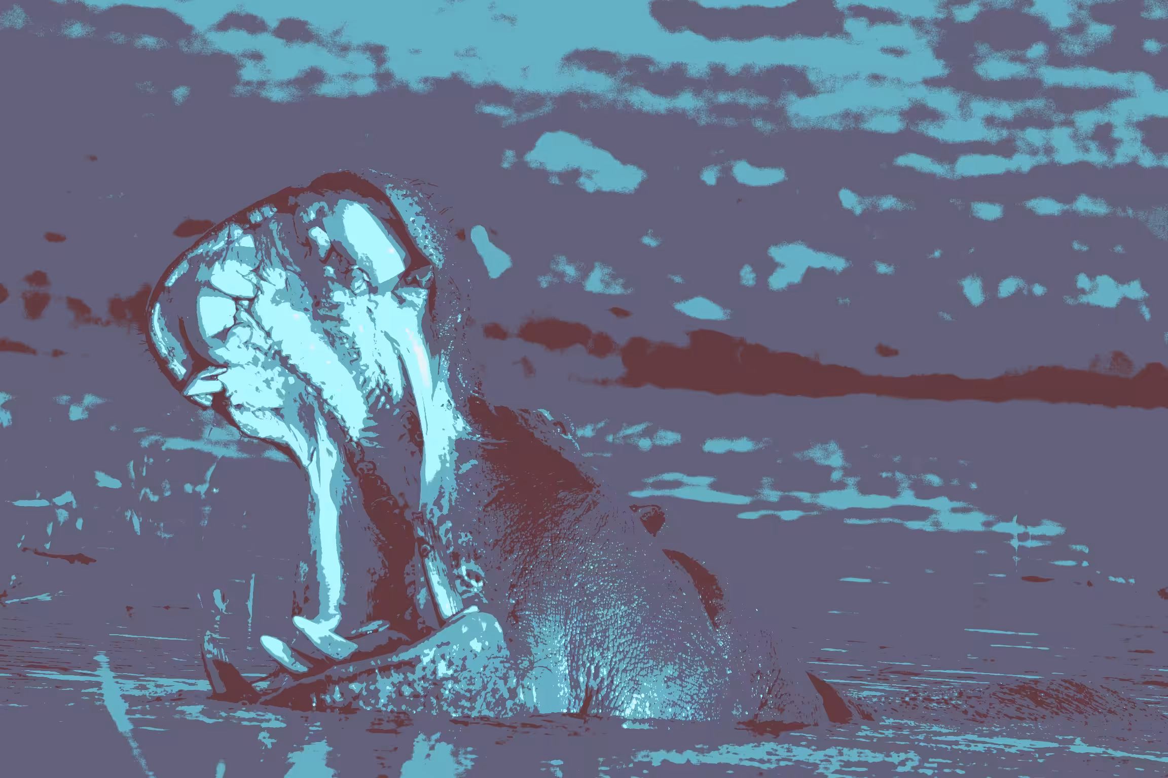 Big mouth hippo