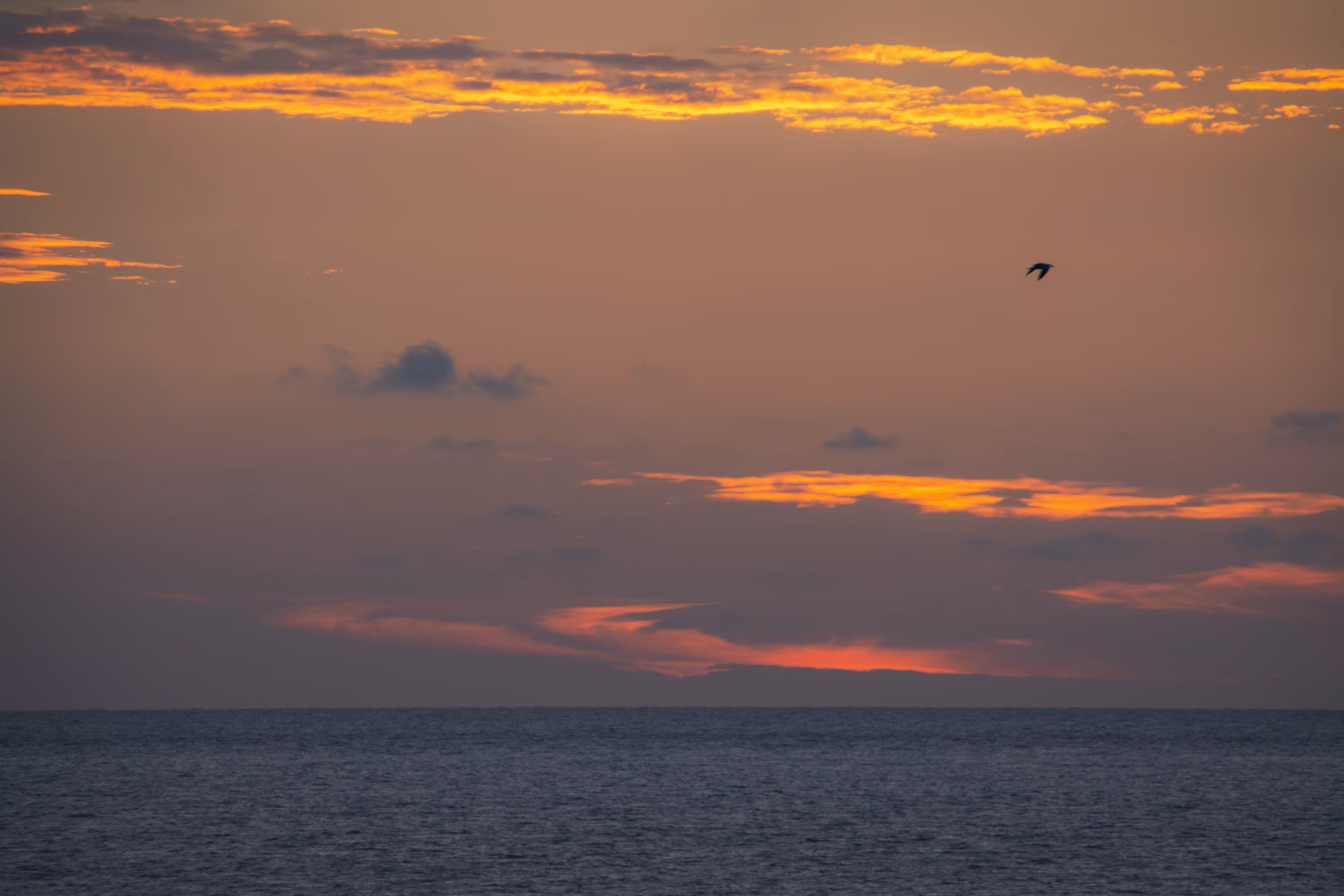 Sunset Fire in the Sky