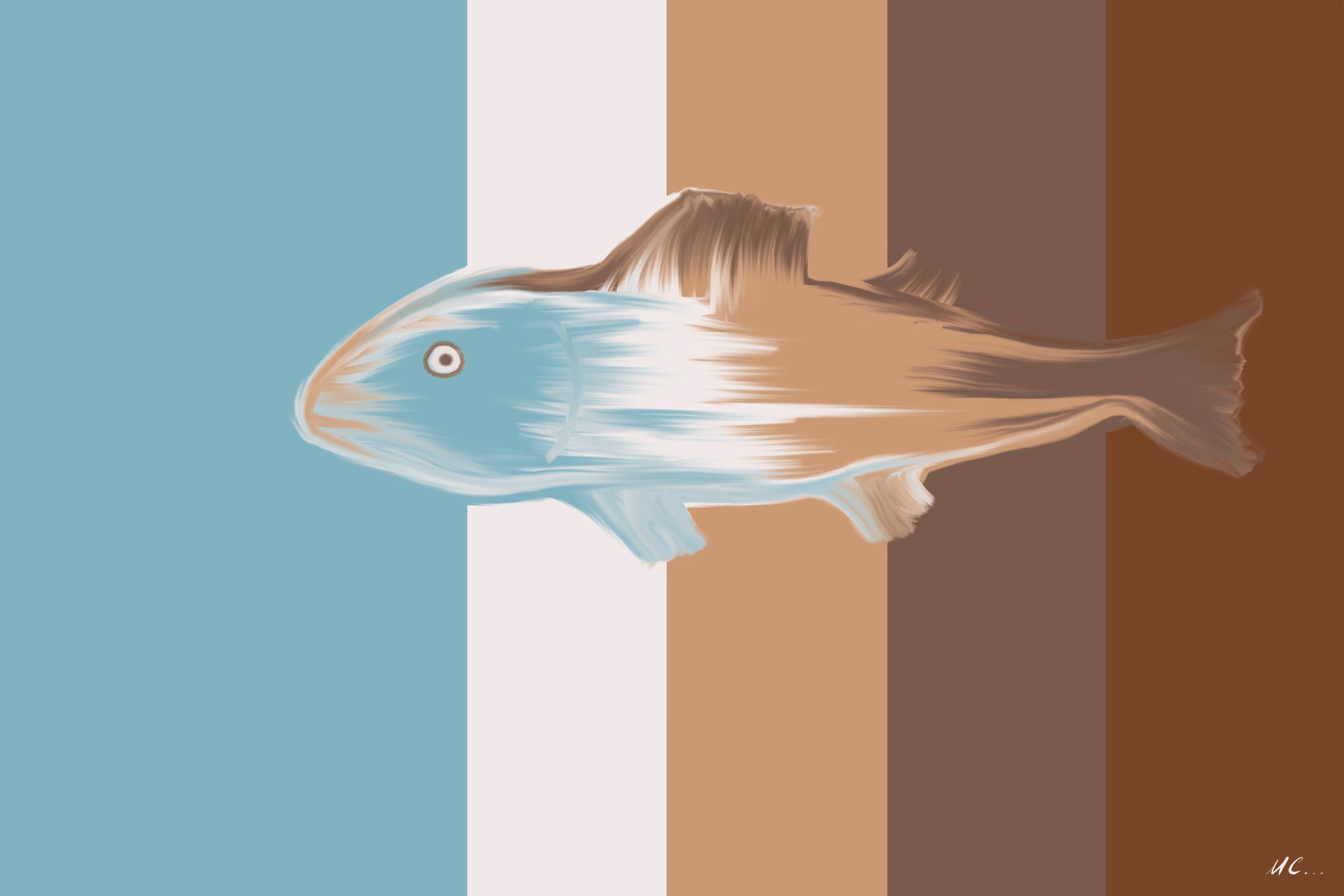 Fish