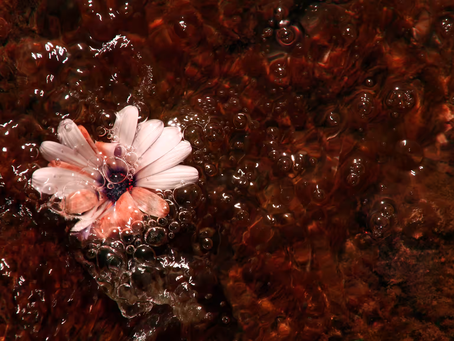 Painting in water - No.02