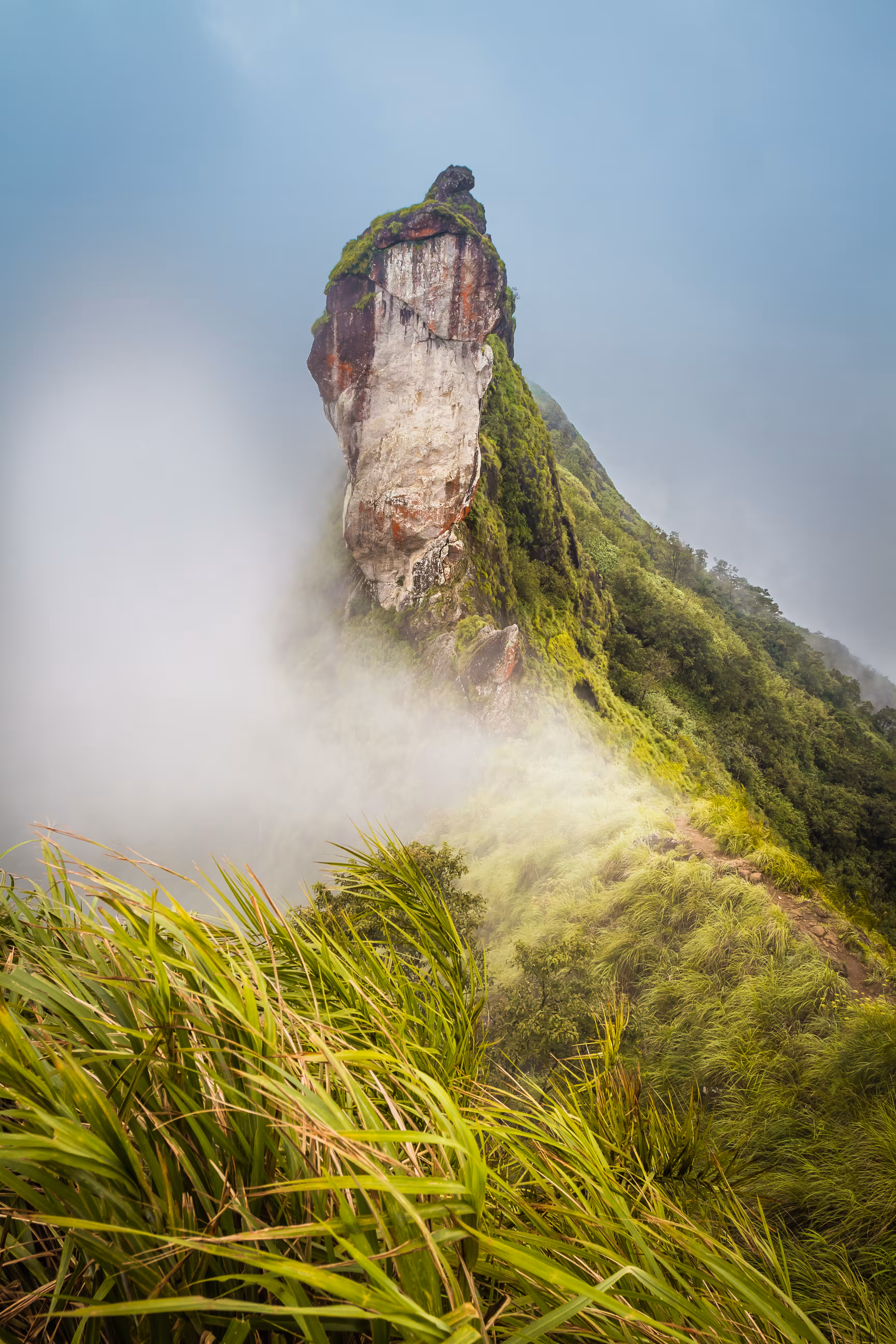 the majetsic illikkal kallu