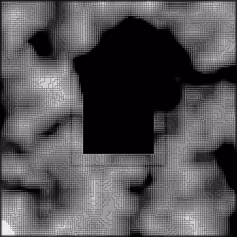 X-Ray #28