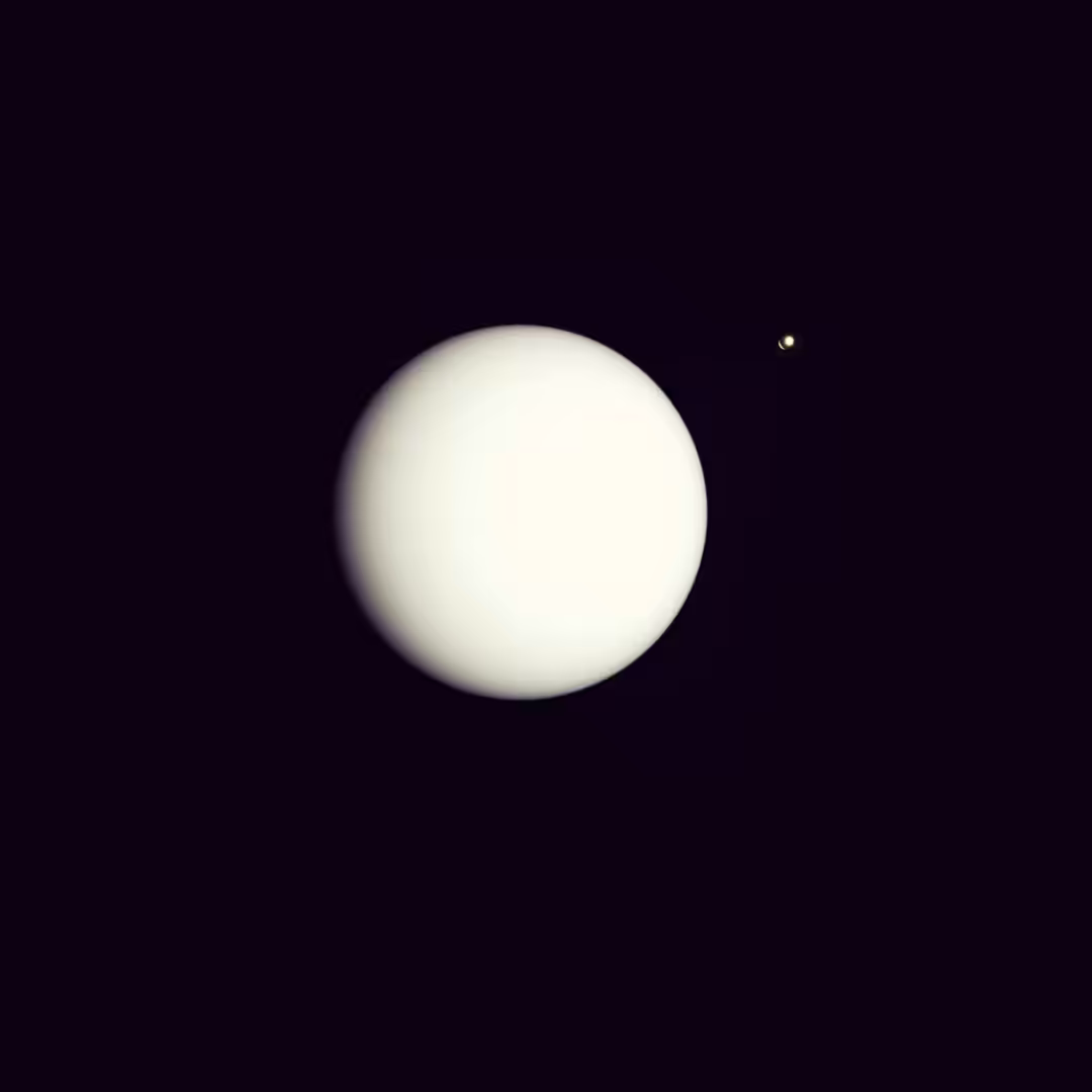 Orbit