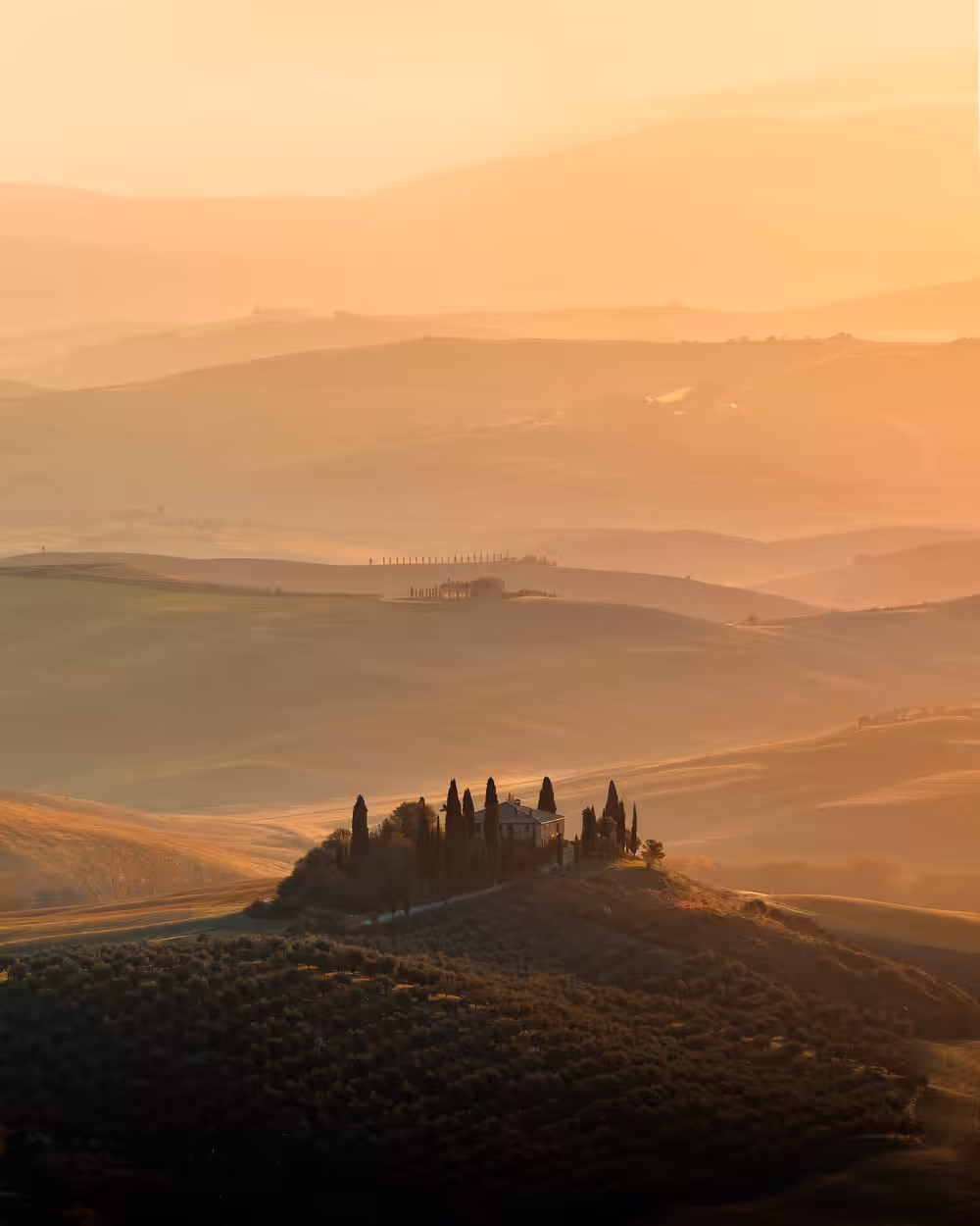 Tuscan Dream