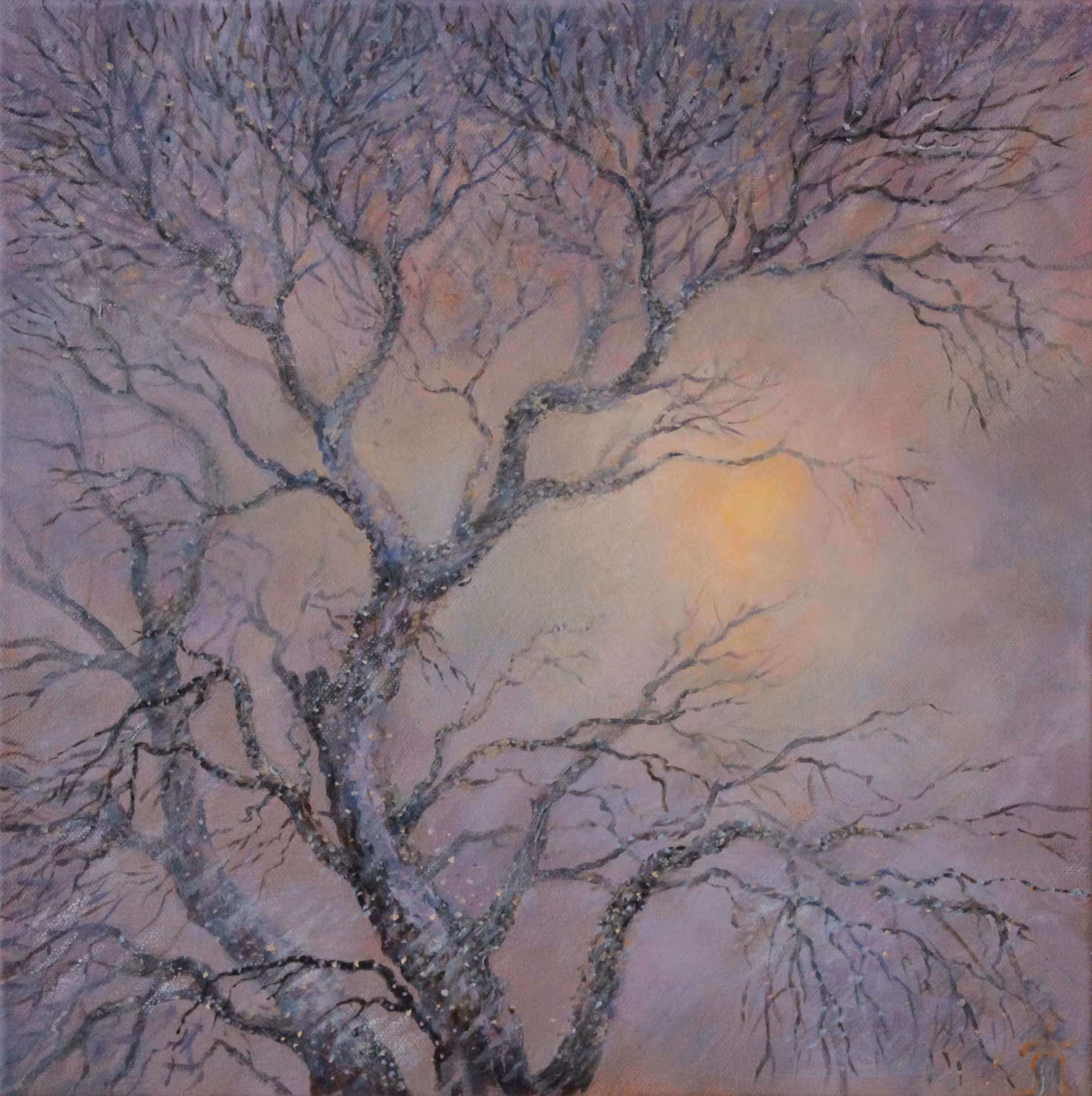 Light and snow
