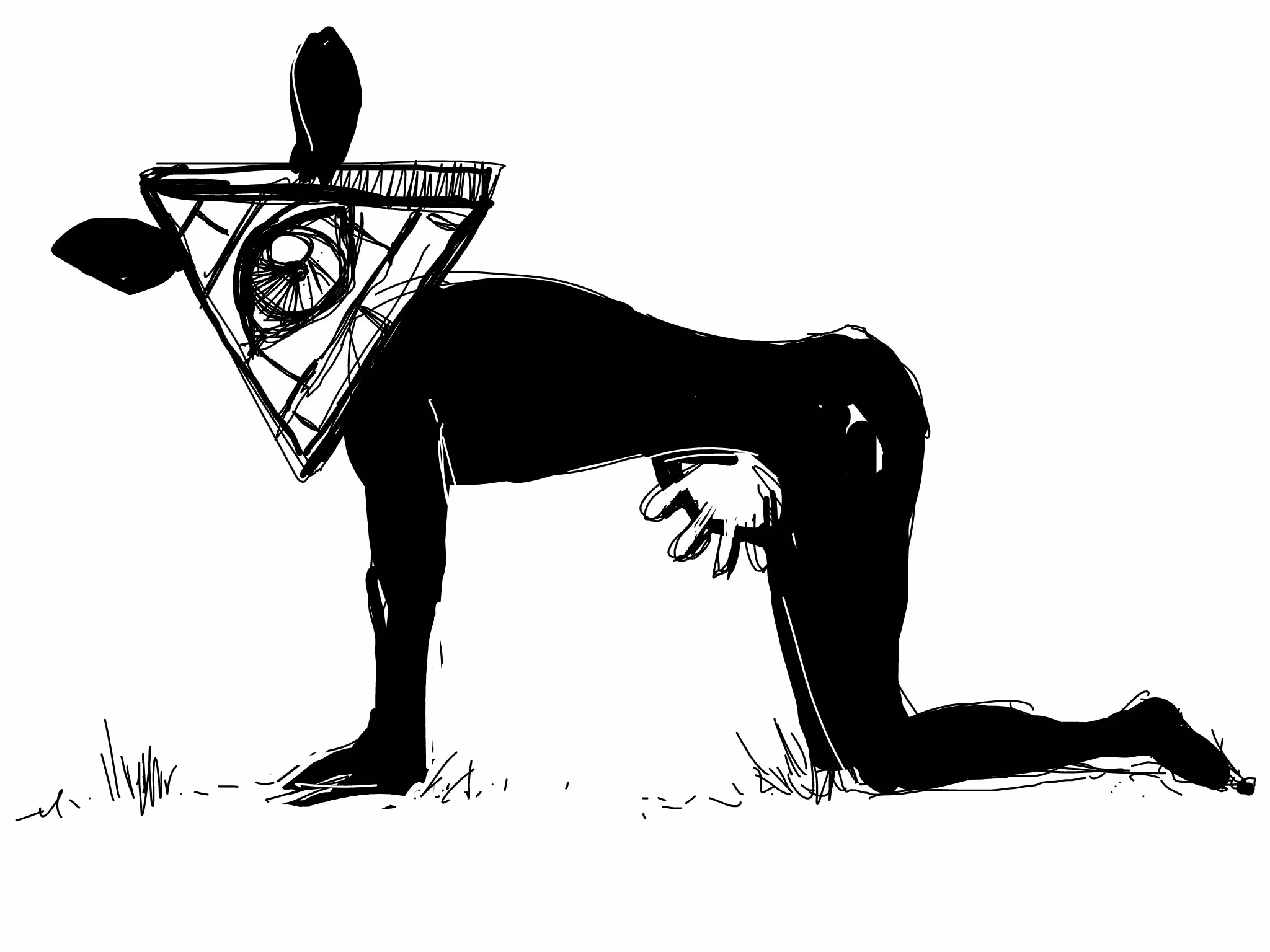 Illuminata