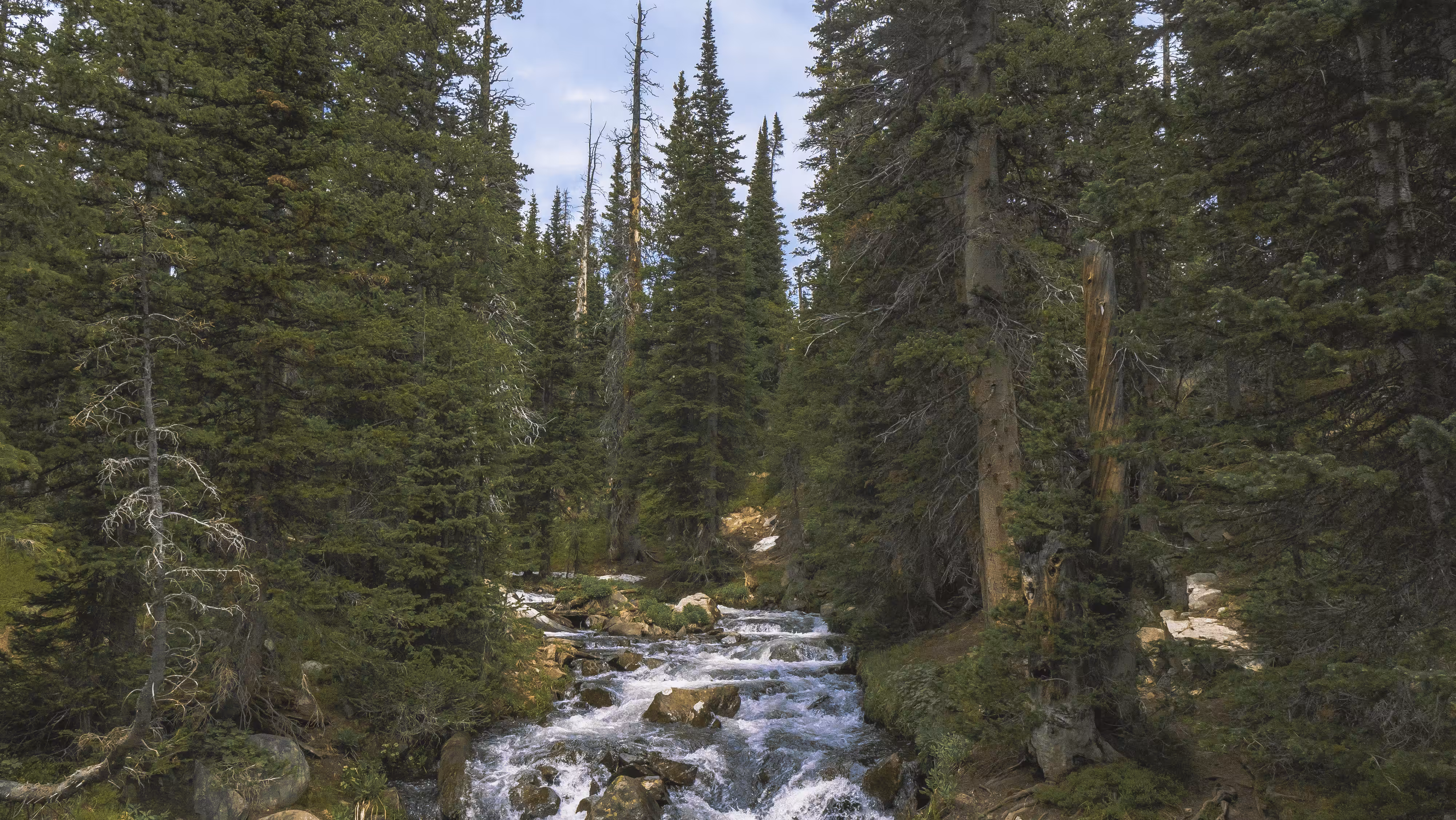 Colorado Landscaps #8