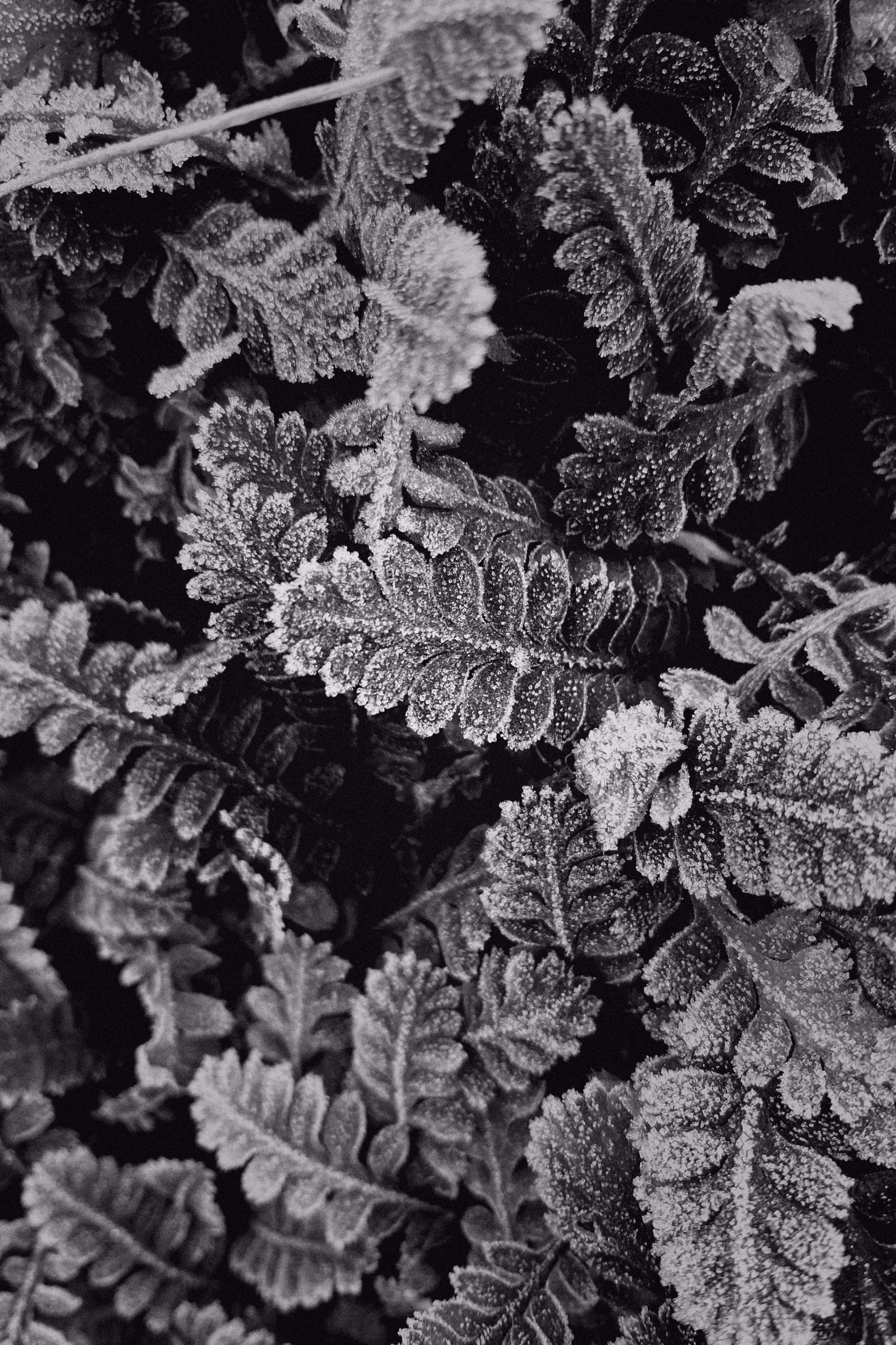 Cold And Dark