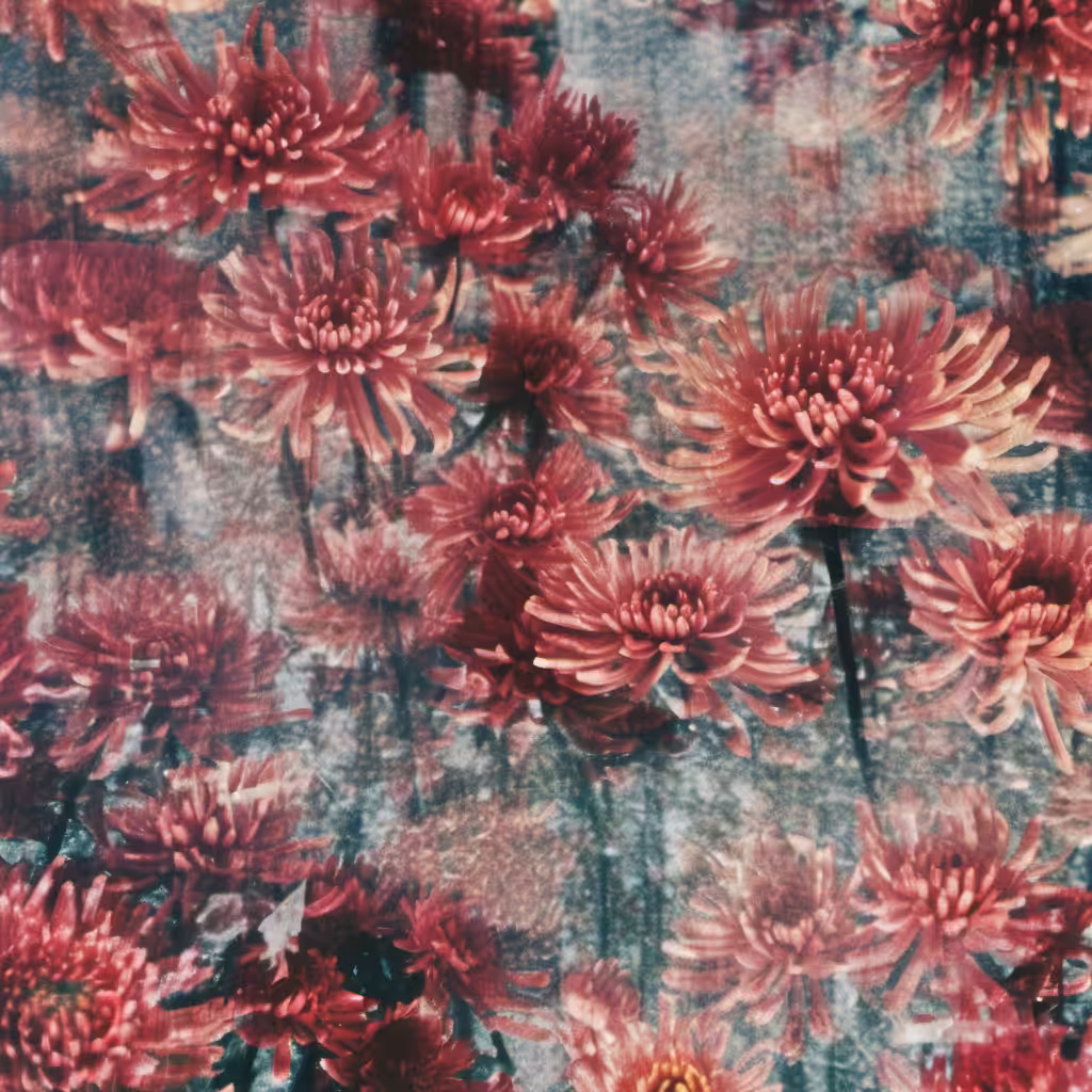 Bloom #1