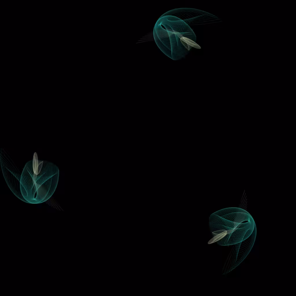 Infinite Beauty: Tulips