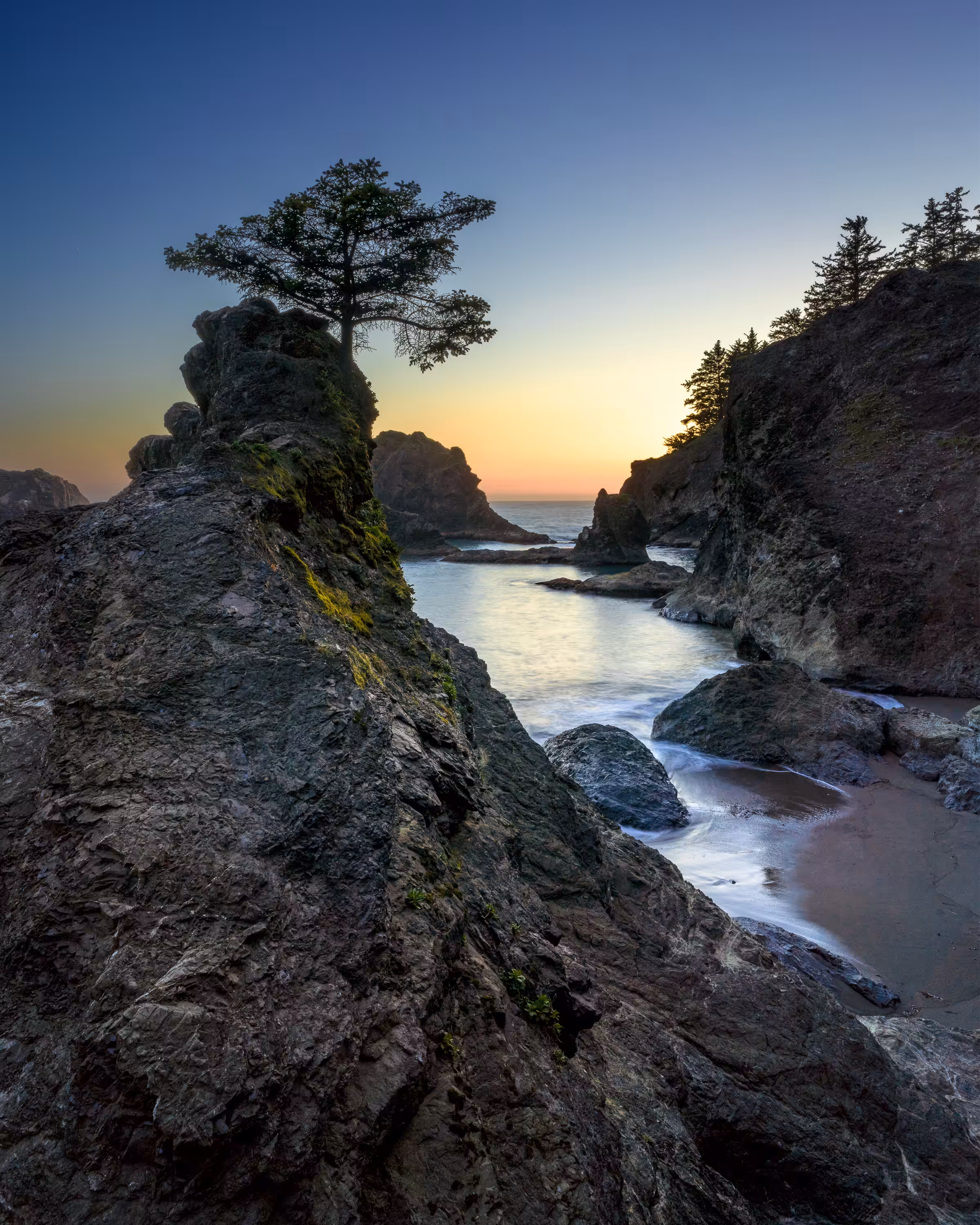 Secret Last Light