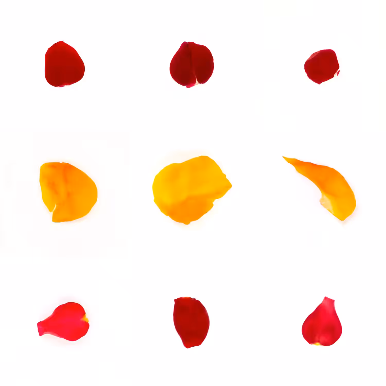 Infinite Petals 3x3#3203