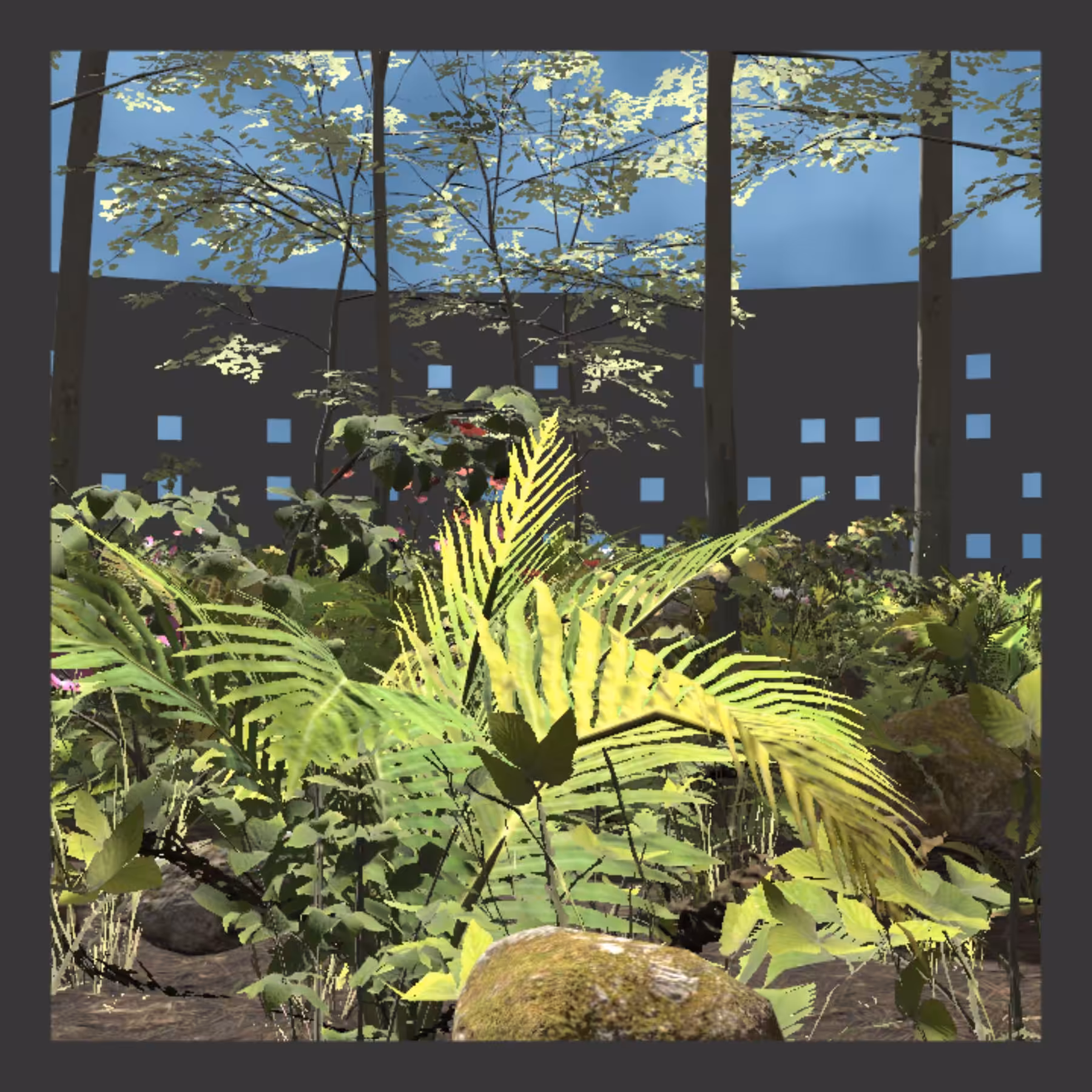 Instance