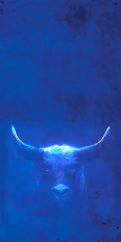 BLeU BuLL