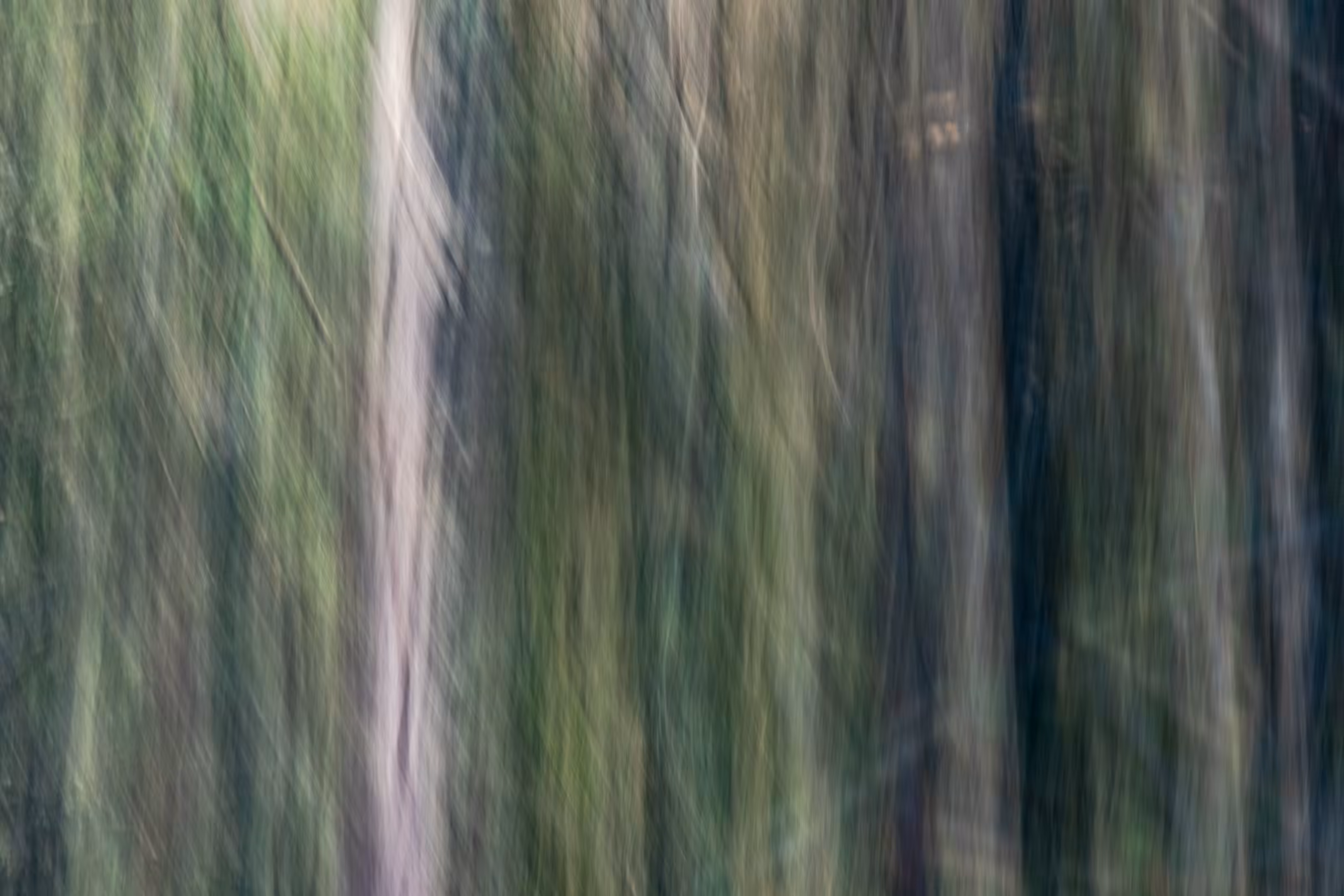The Ghosts of Elowah #50