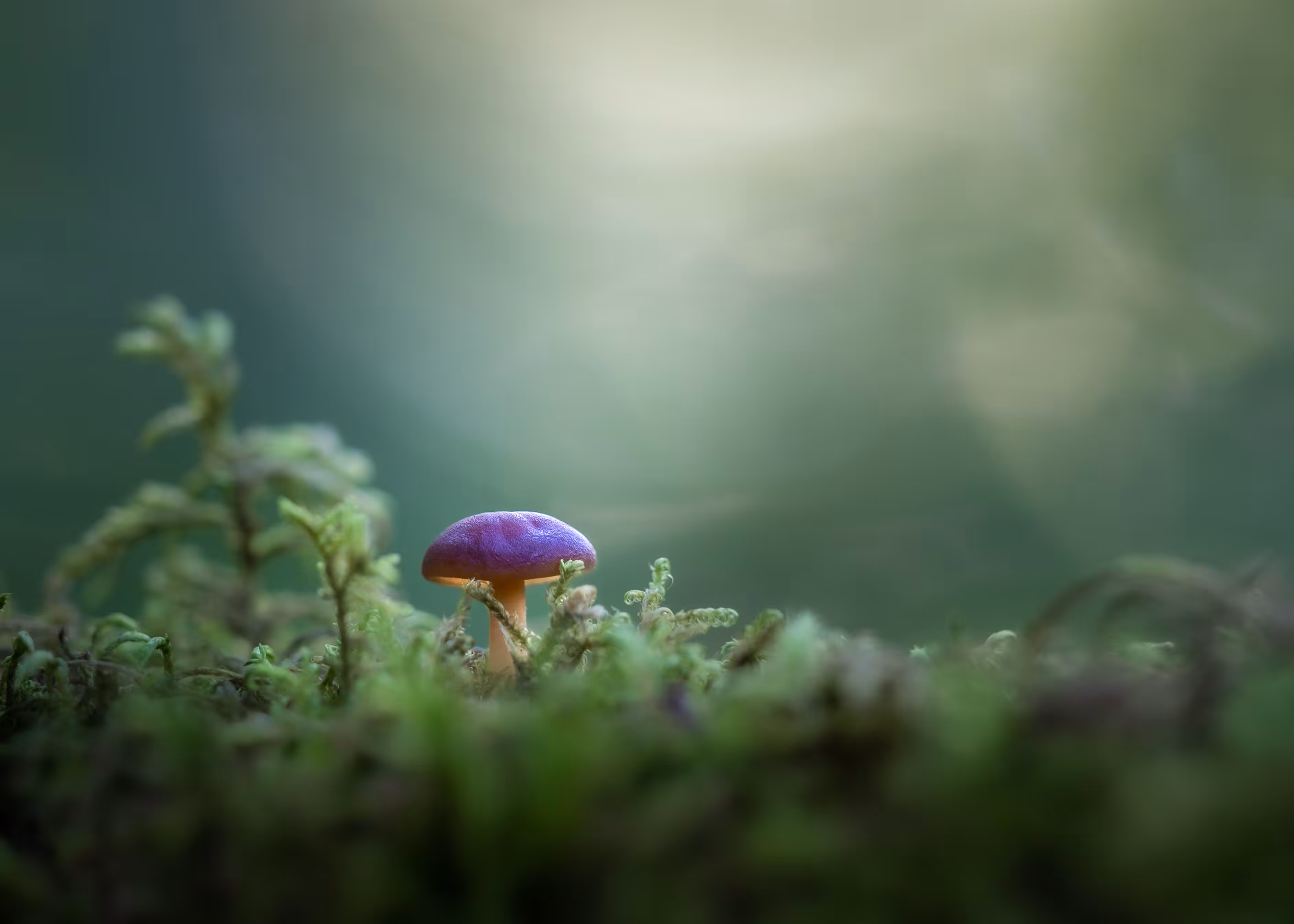 Precious