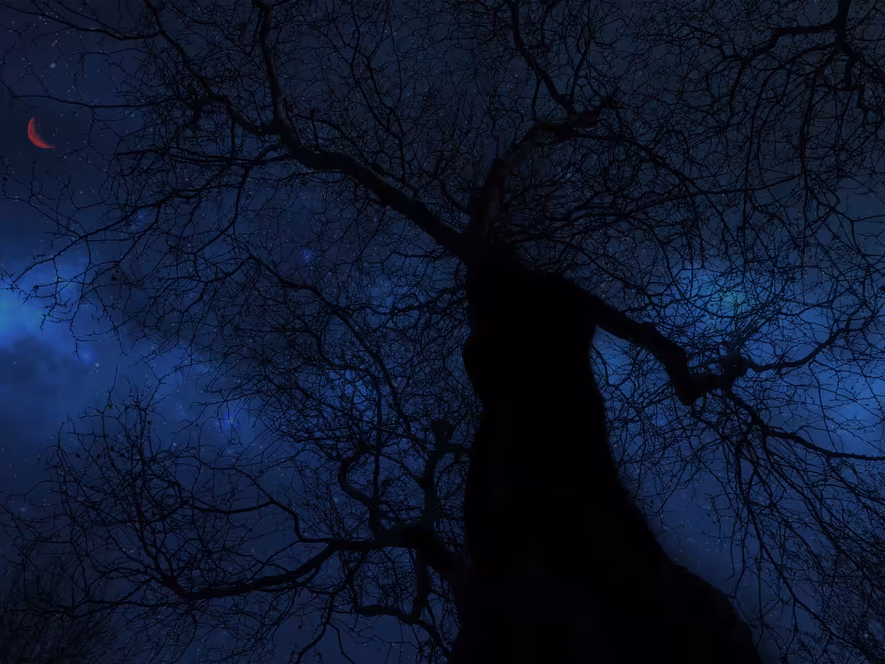 My photography: universe