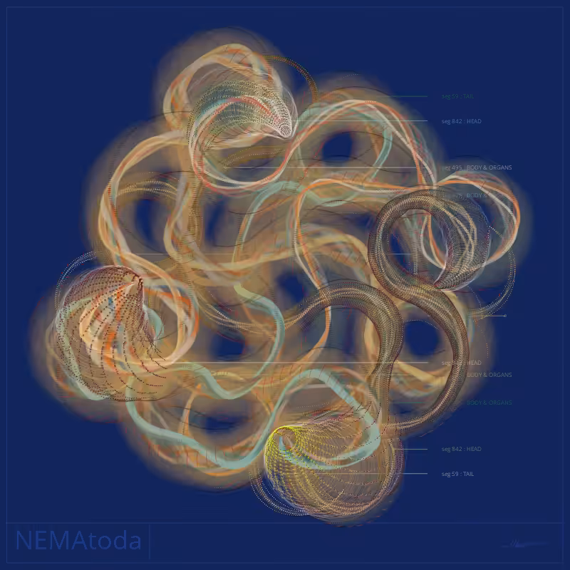 NEMA #79