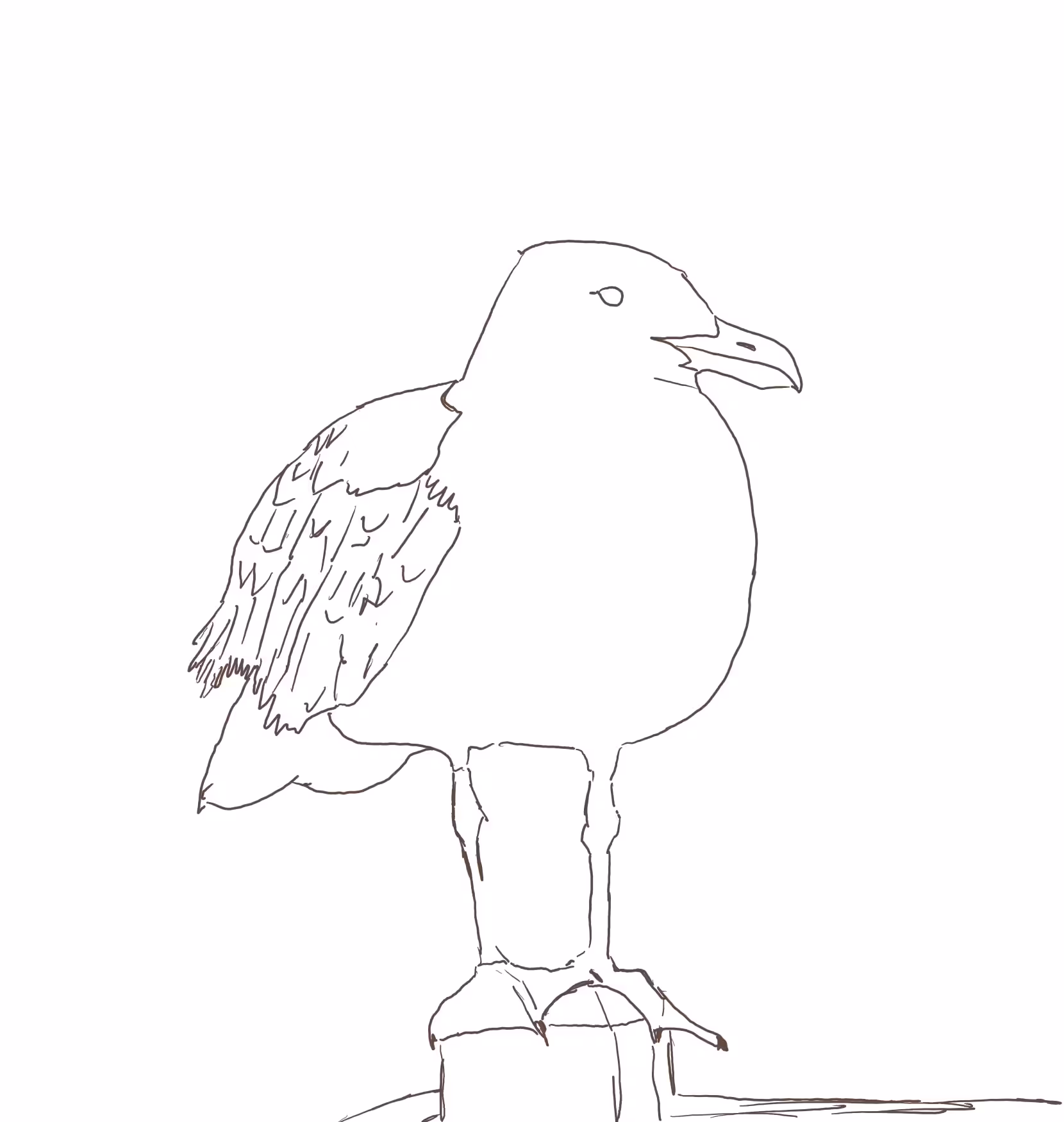 versum daily sketch 011