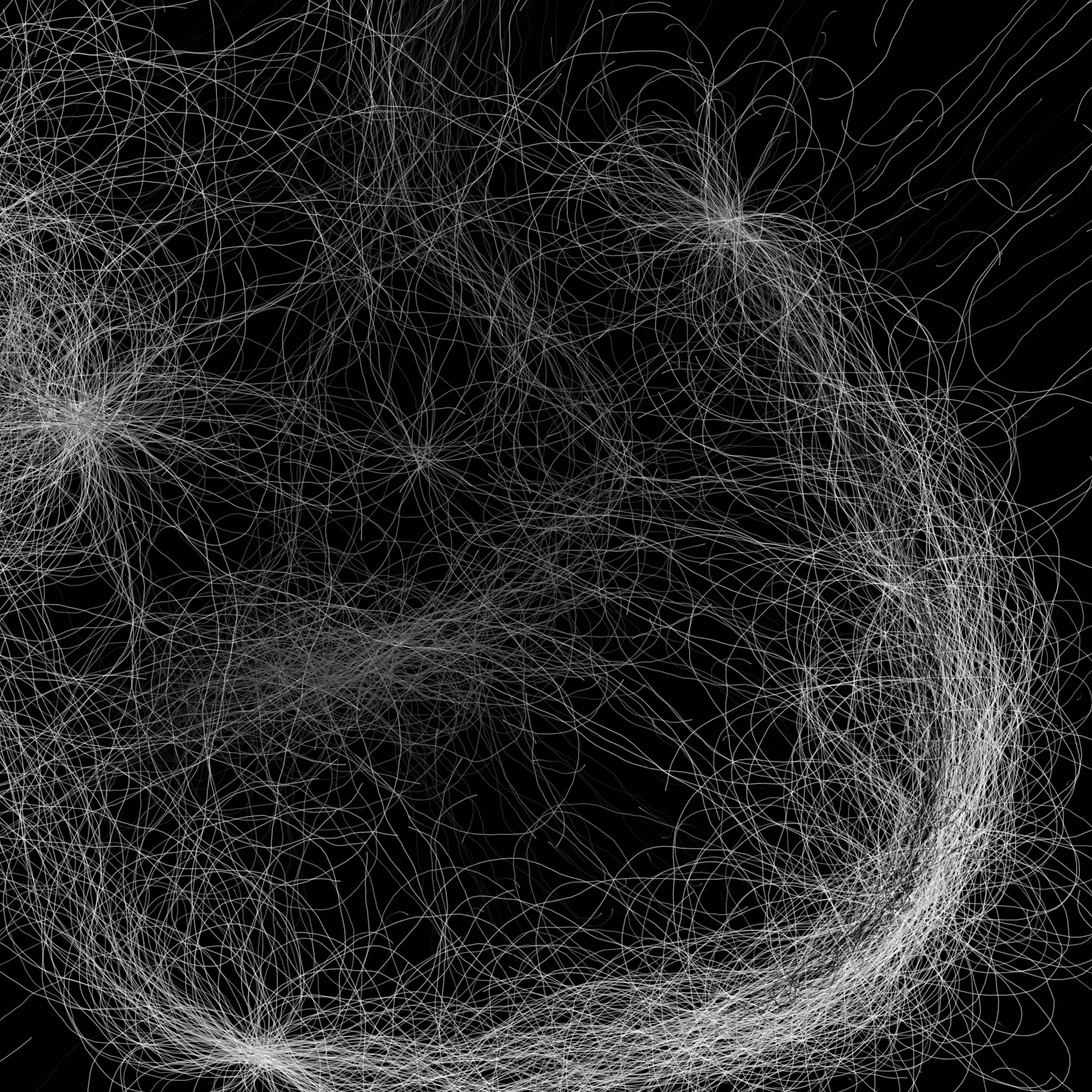 Phototaxis #543