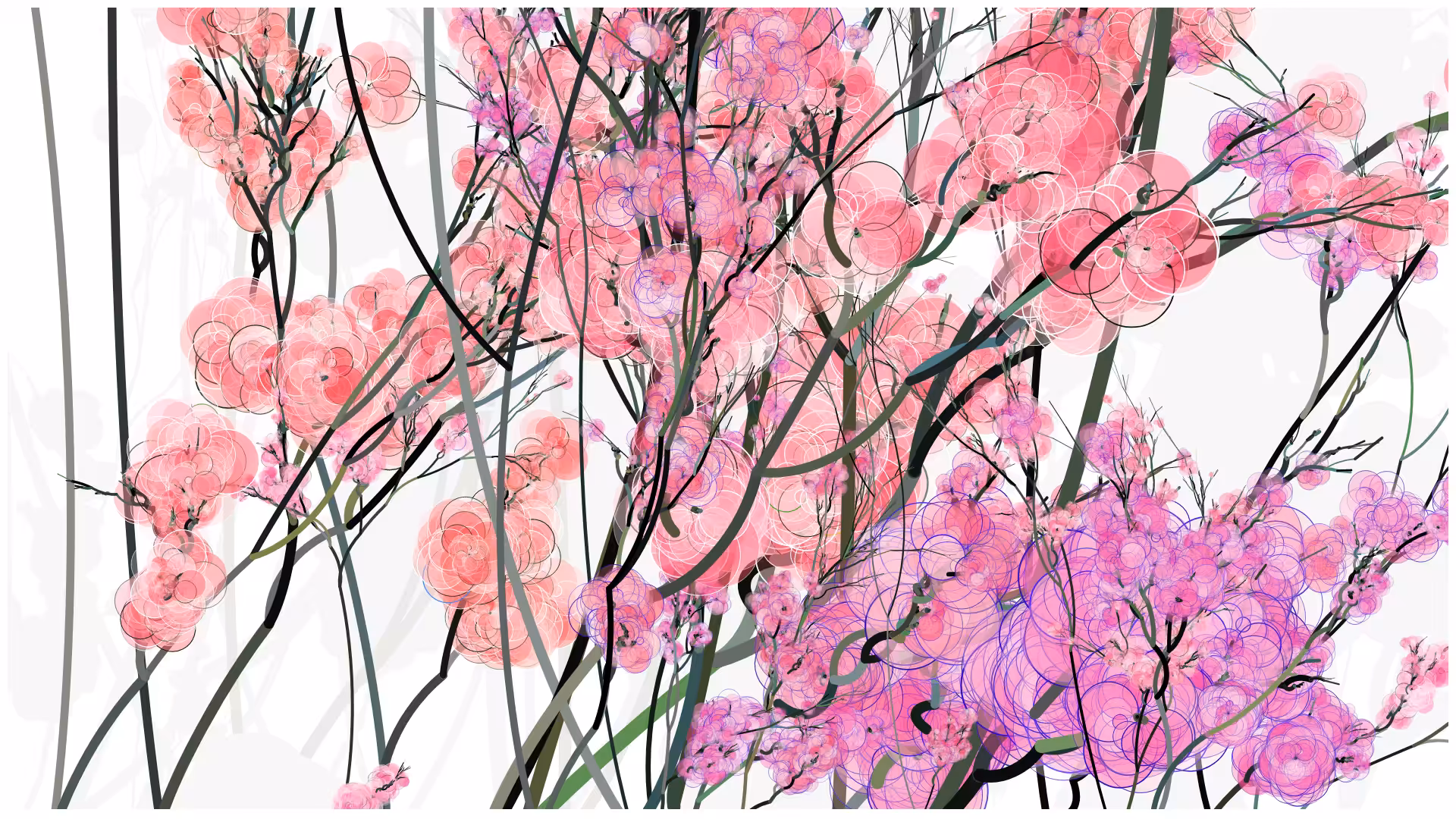 CODE-BLOSSOM #81