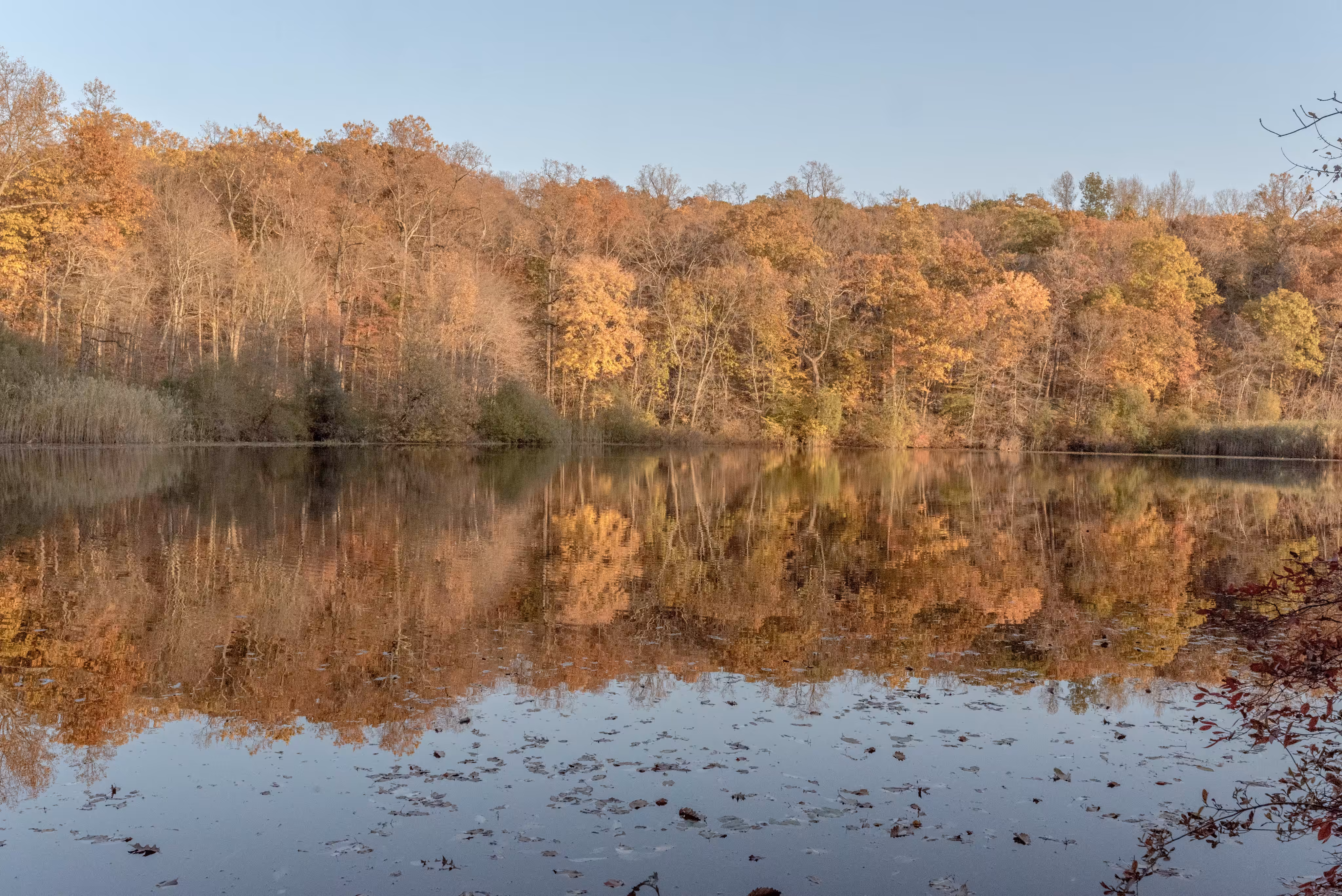 Colorful Reflections 1