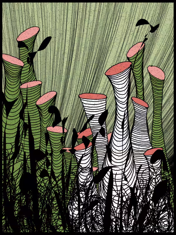 Play with lines #zentangle #28