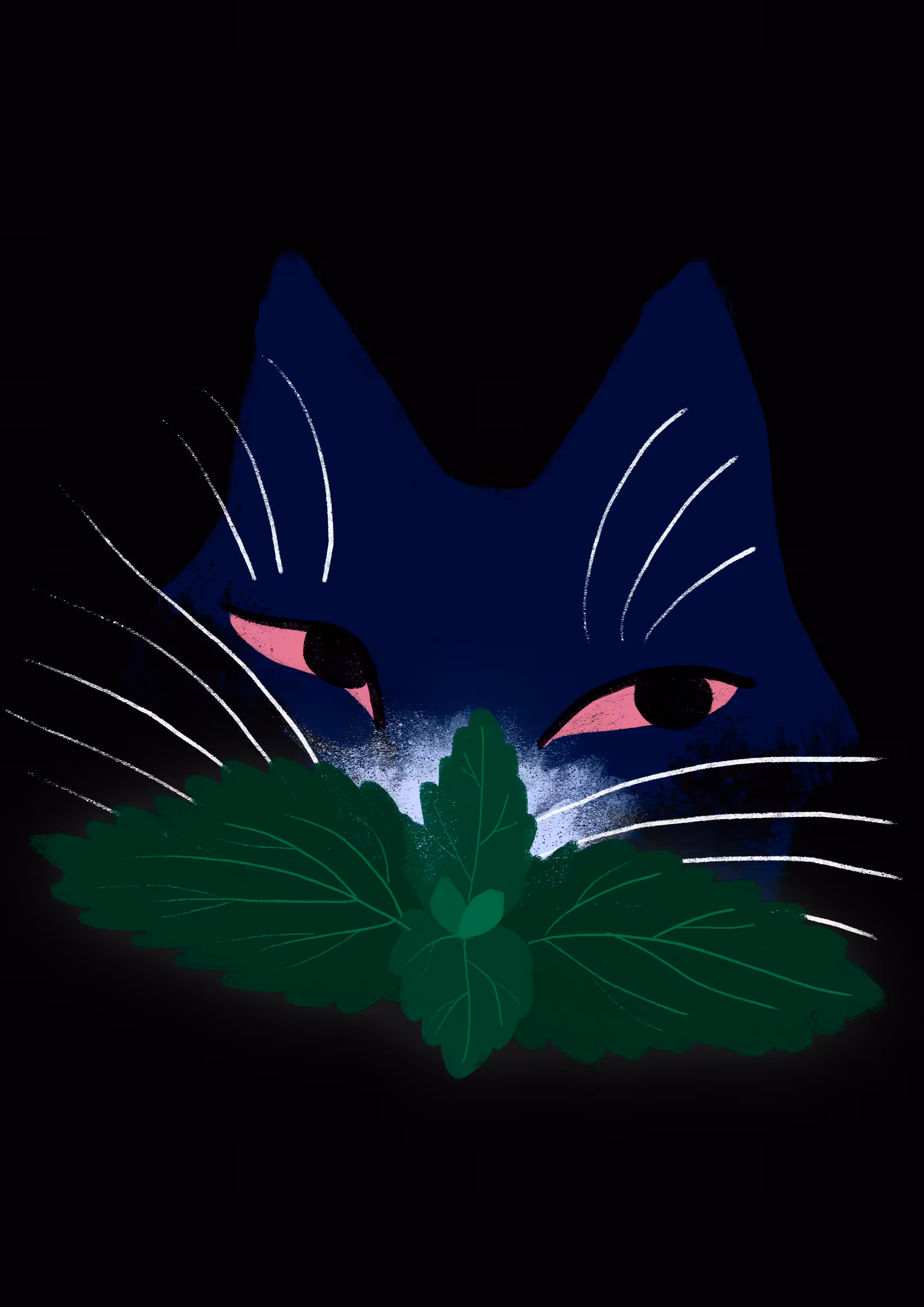 Catnip