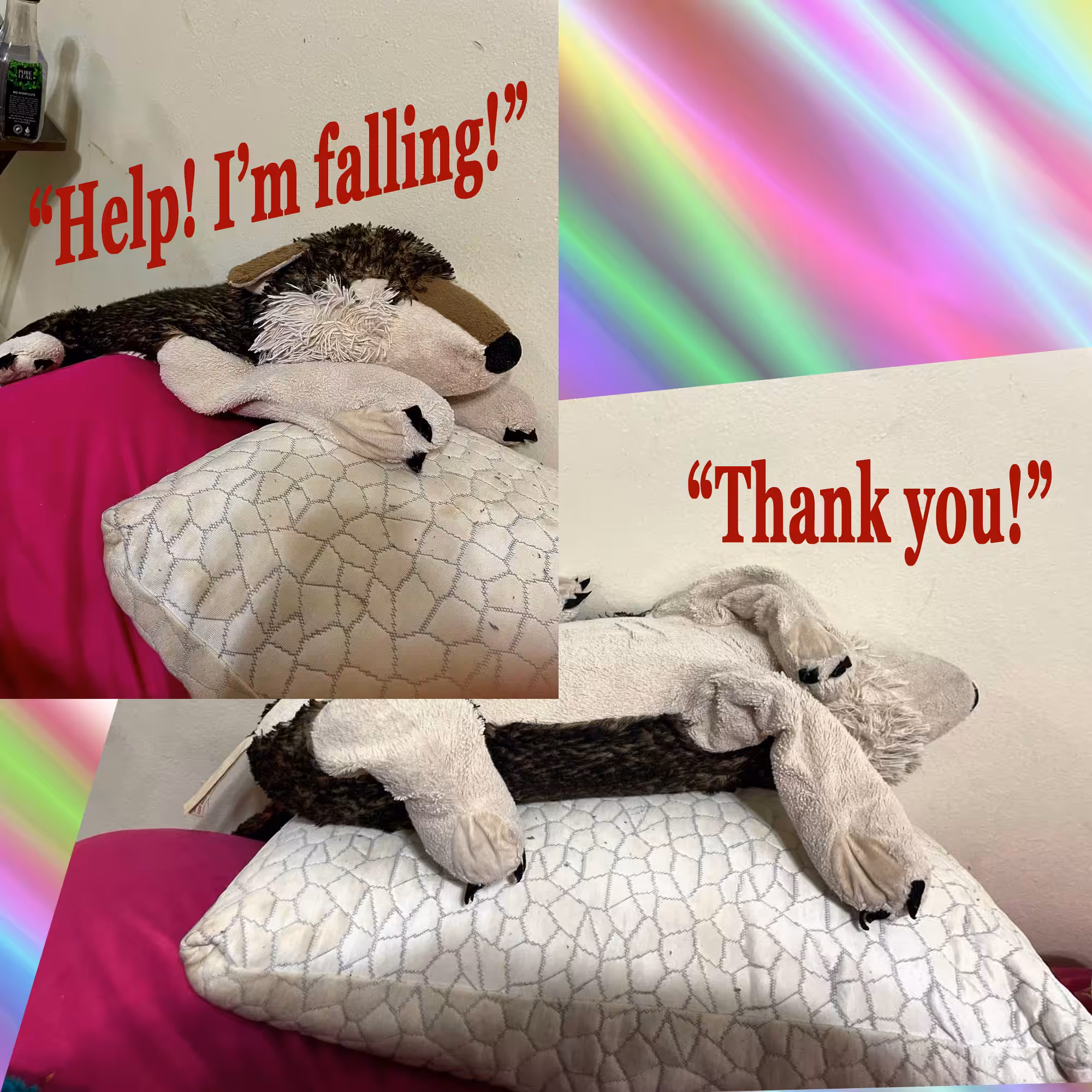 Harold Falling