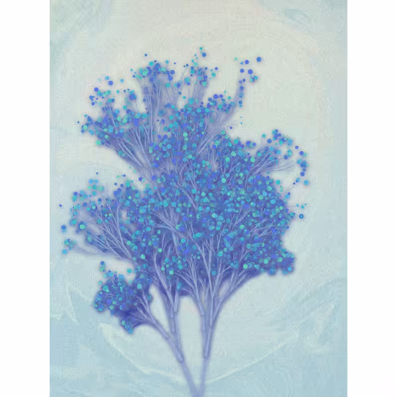 Garden of the Hesperides #29