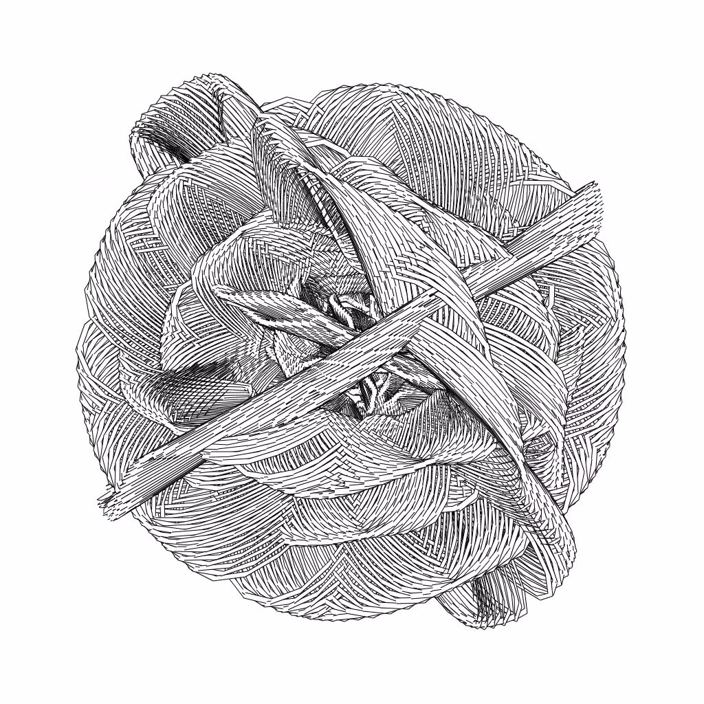 LL21 Entangled (3) #200