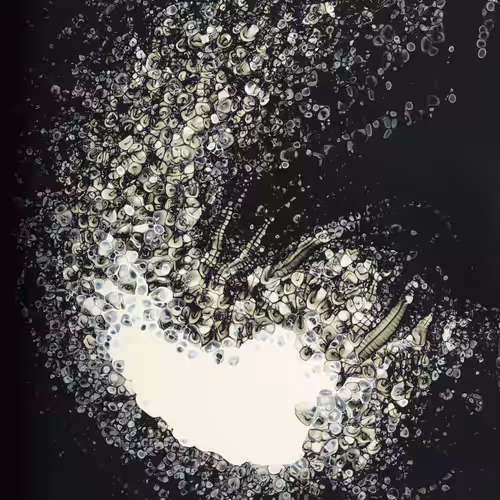 The Imagination of Matter project - Form and Order 02 #1