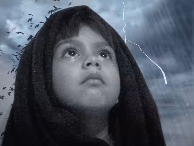 Learning to Weather the storms