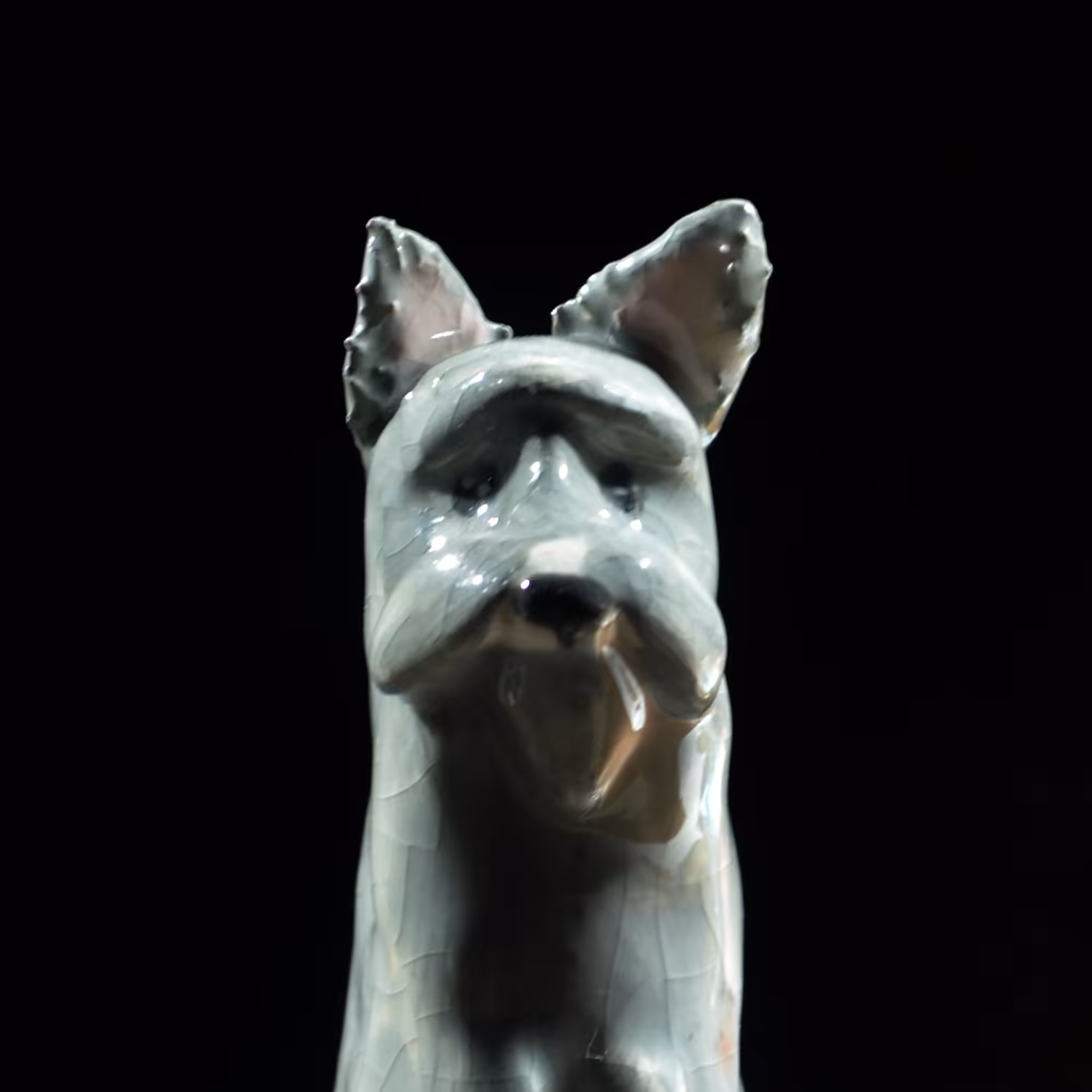 pfpup#0077