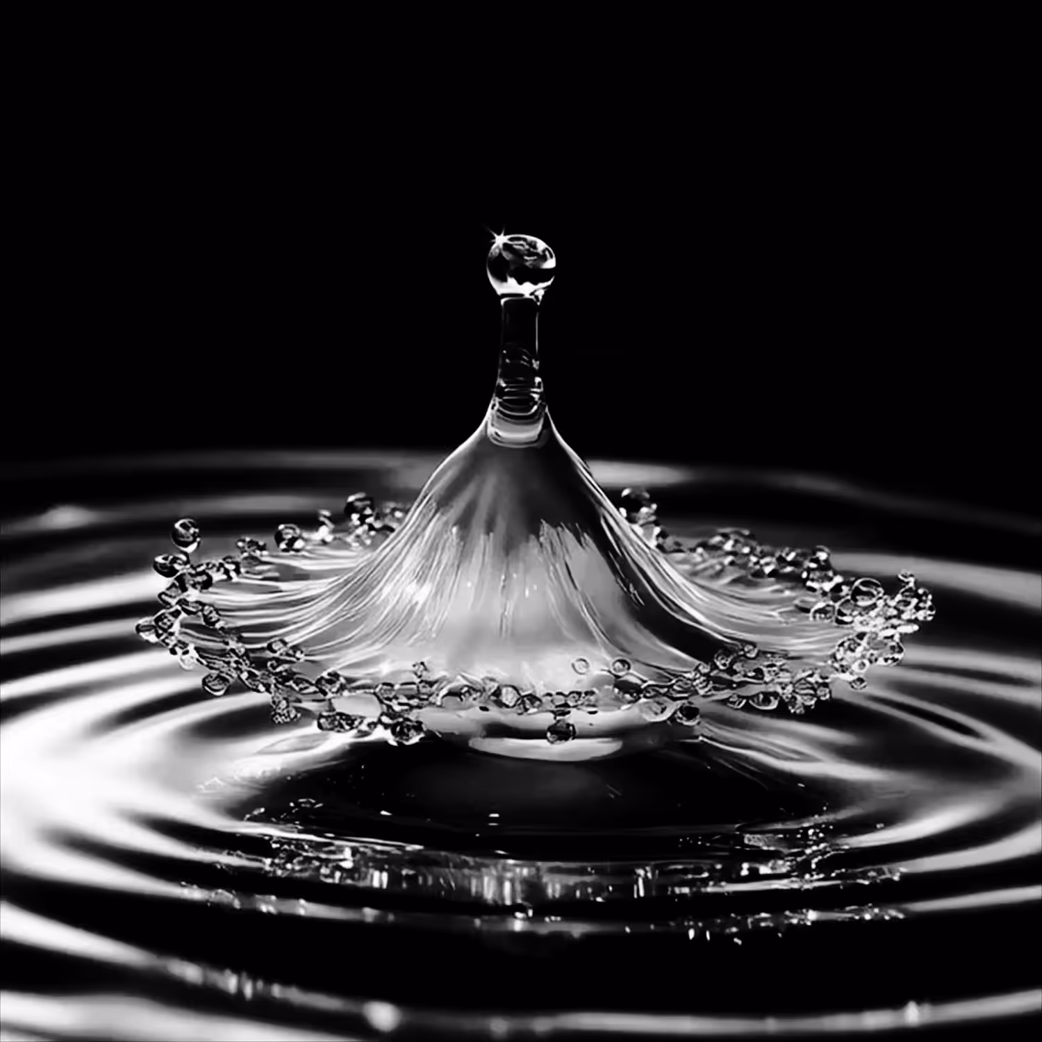 Liquid Canopy