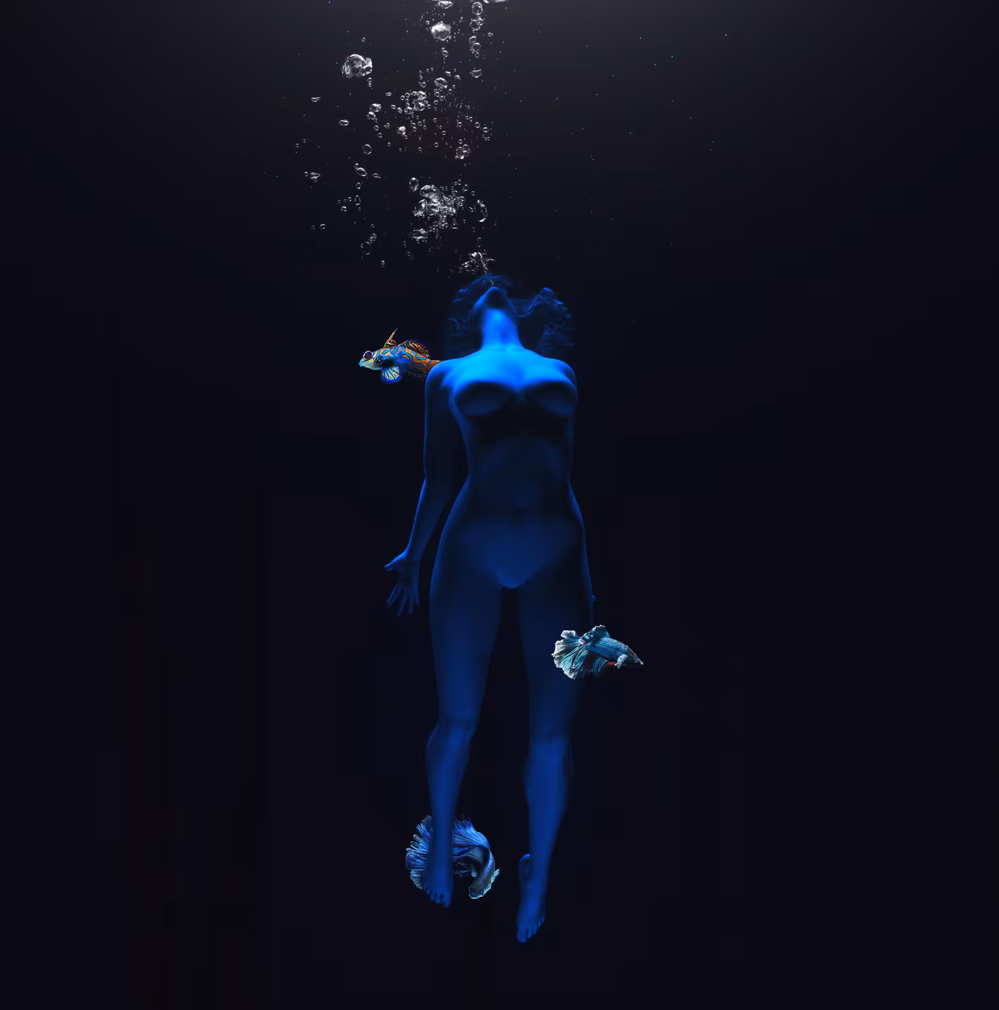 Dive Deeper