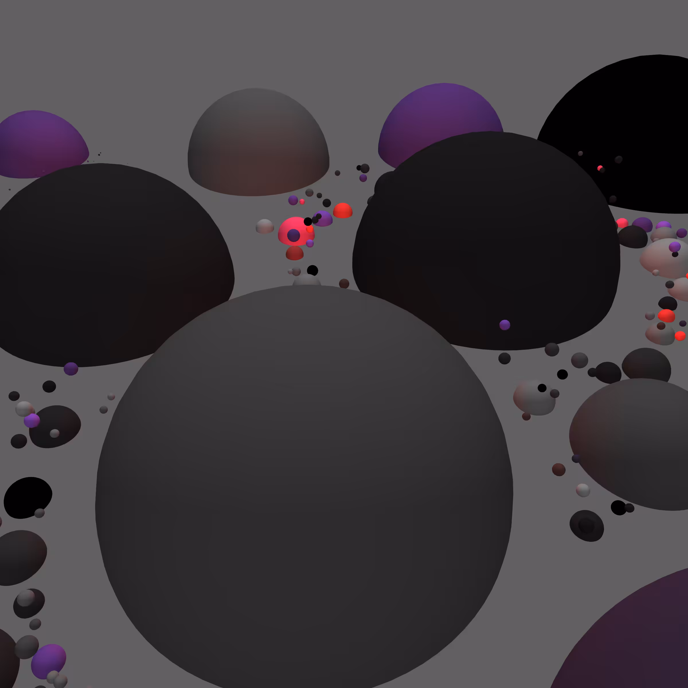 Organized Disruption #498