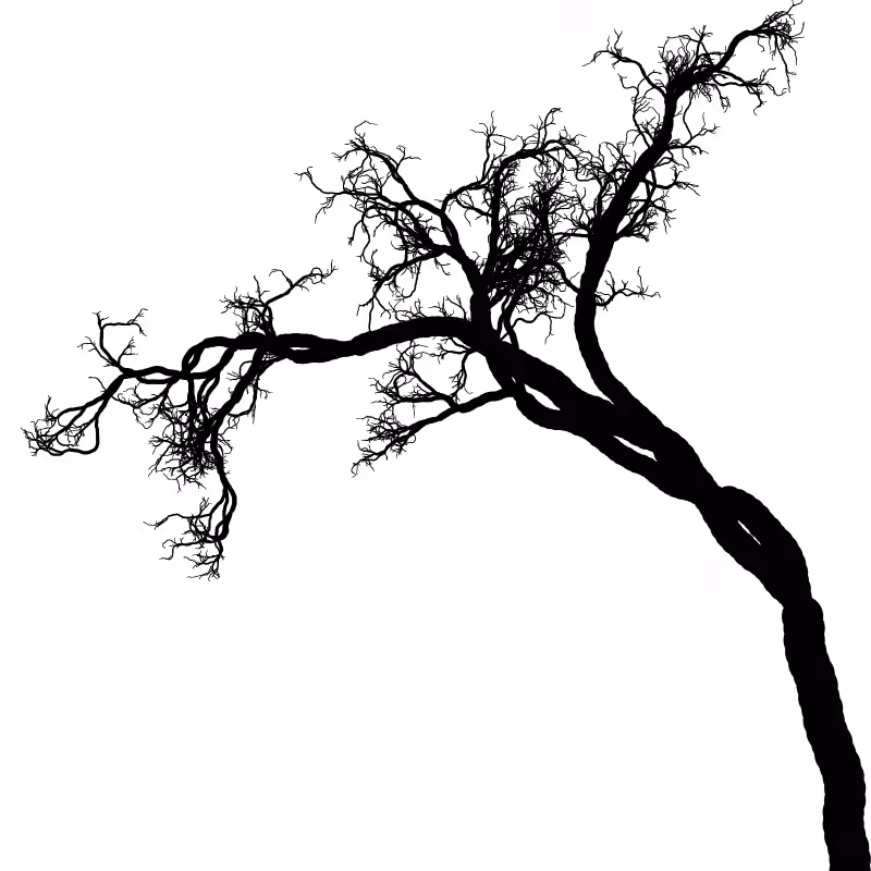 Tree 01 #18